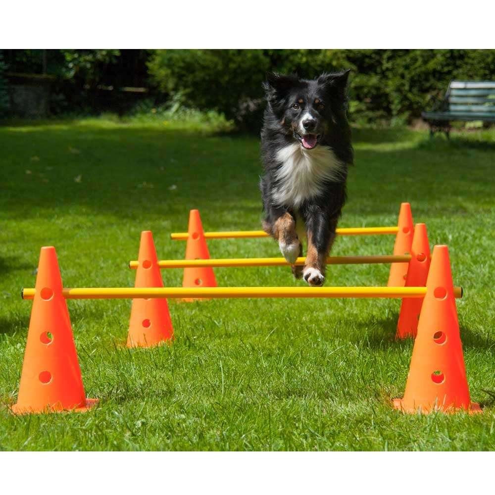 Procyon Agility-Hürde Dog Agility 3er Set Pylonen-Hürden - 38 cm