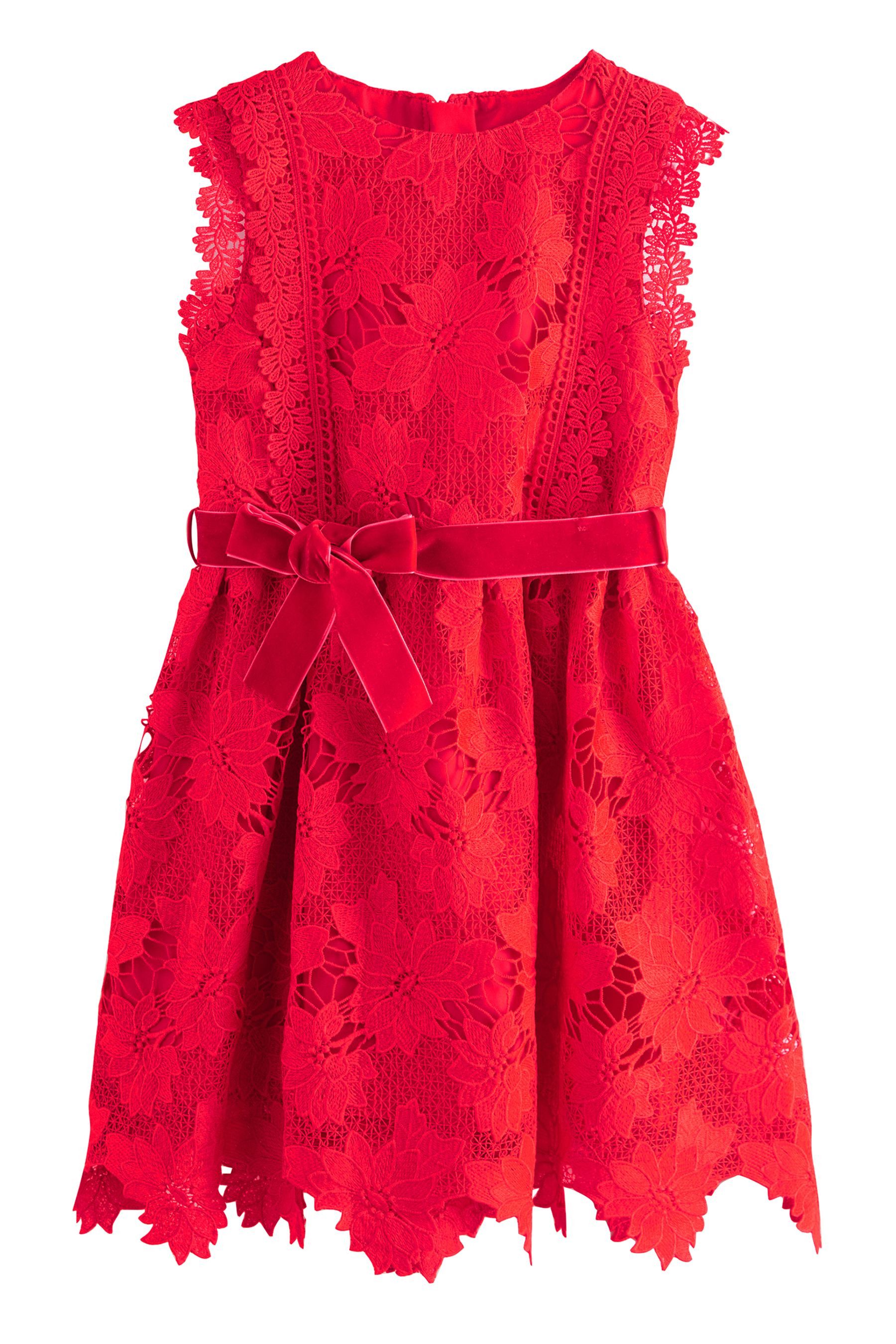 Next Partykleid Spitzenkleid für besondere Anlässe günstig online kaufen