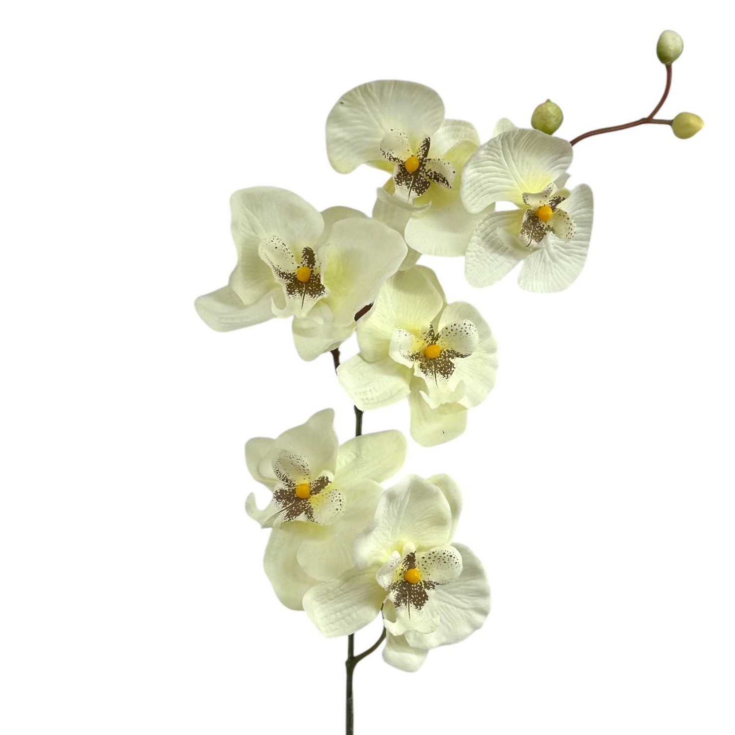 Kunstorchidee Kunstblume, ORCHIDEENZWEIG, Orchidee 78cm, Gasper, Höhe 78.00 cm