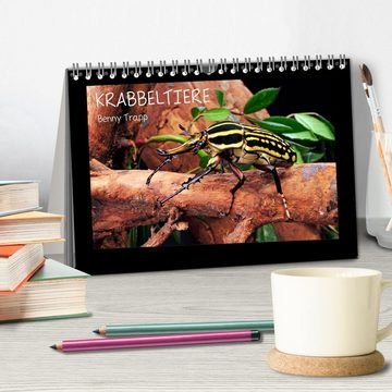 CALVENDO Wandkalender Krabbeltiere (Tischkalender 2024 DIN A5 quer), CALVENDO Monatskalender