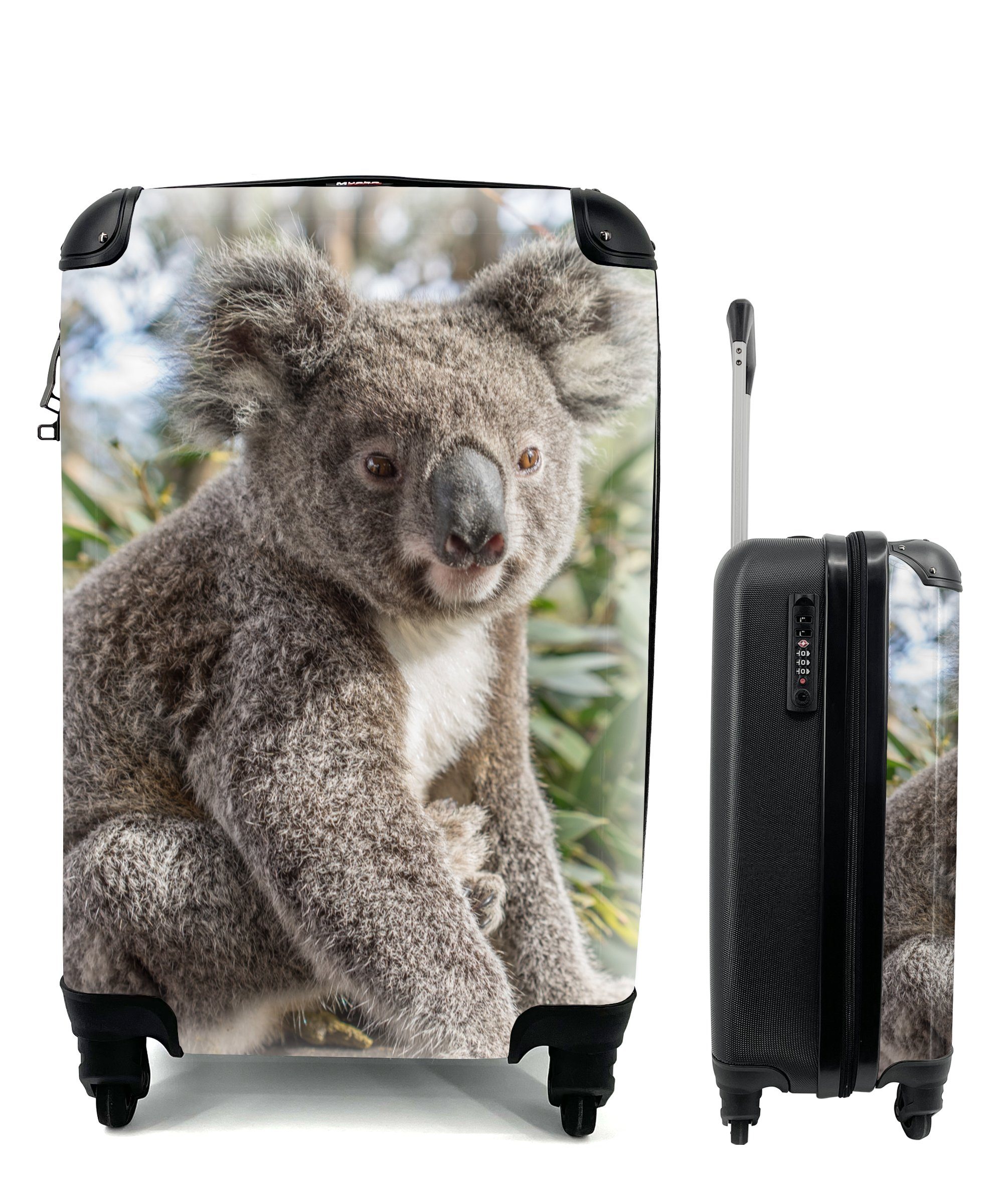 MuchoWow Handgepäckkoffer Koala - Regal - Pflanzen - Kinder - Jungen - Mädchen, 4 Rollen, Reisetasche mit rollen, Handgepäck für Ferien, Trolley, Reisekoffer
