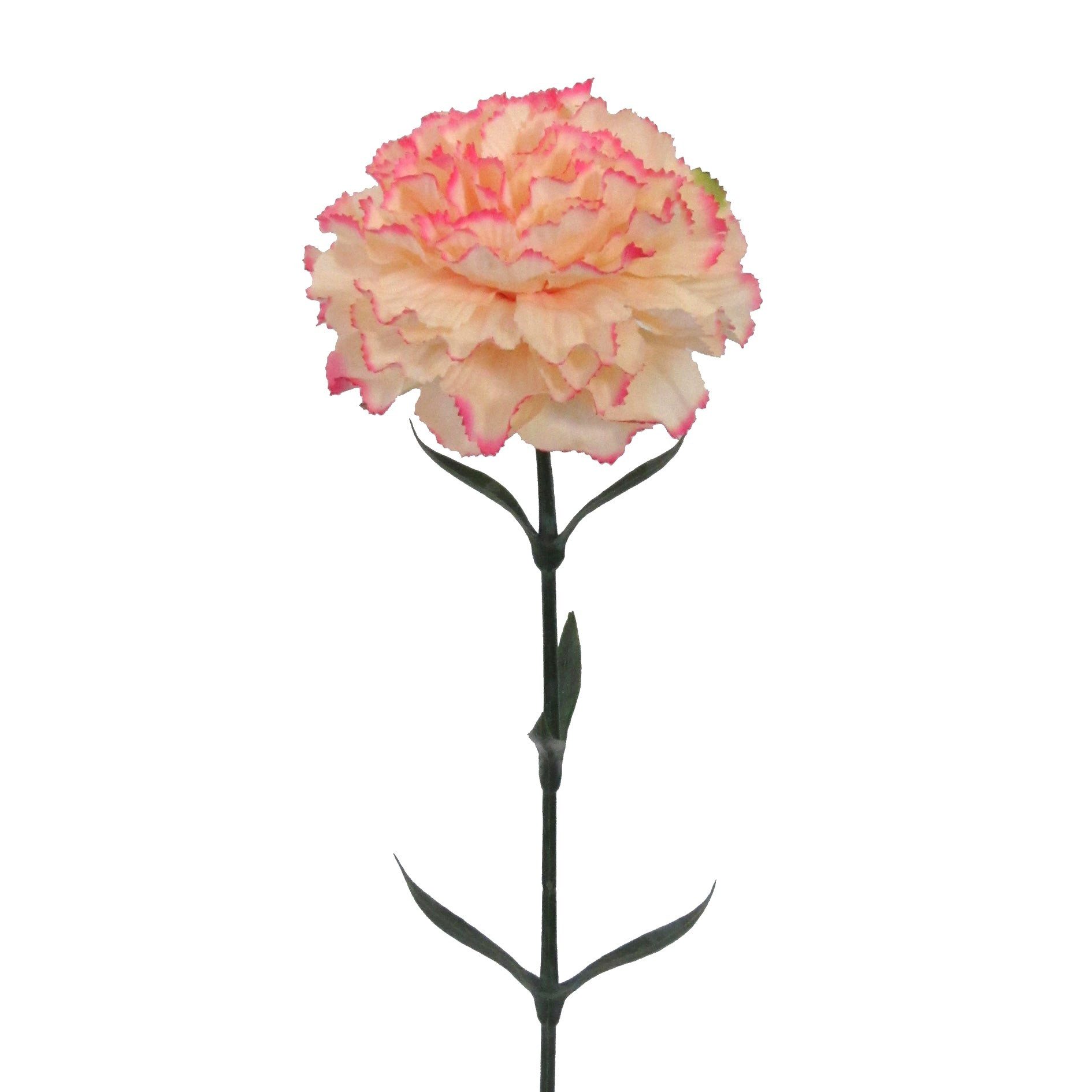 Kunstblume Kunstblume NELKE ca 67cm. Künstliche Nelken, Dianthus., Gasper, Höhe 67.00 cm