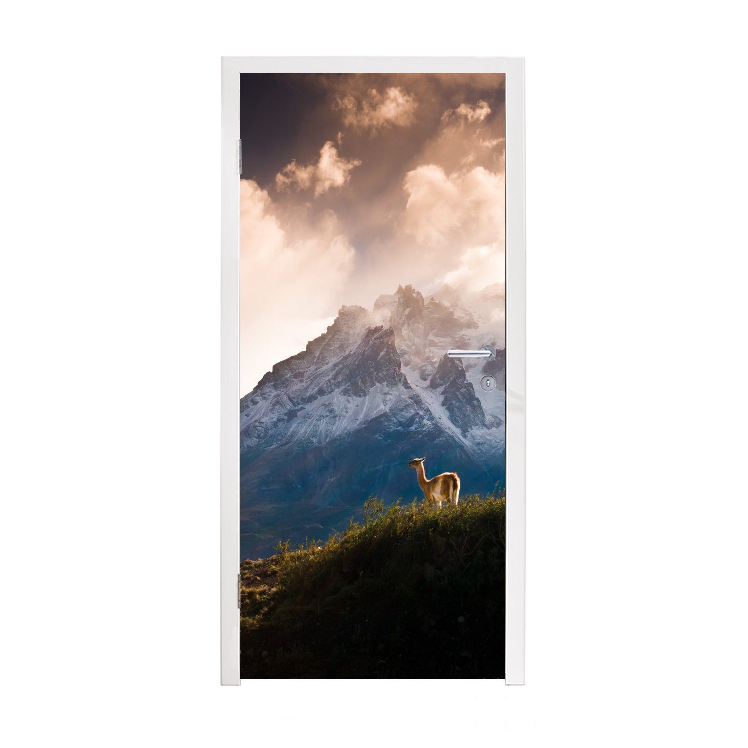 Licht Matt, MuchoWow Türaufkleber, St), 75x205 Fototapete Alpaka (1 für Wolken, cm Türtapete - Tür, bedruckt, -