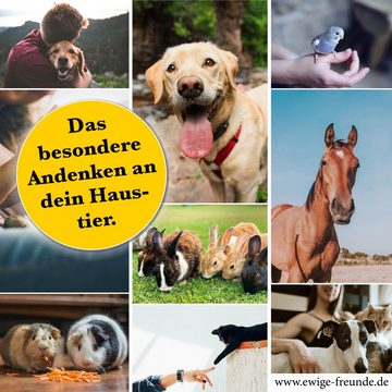 eF Tierhaus DEINE Trauer, EURE GESCHICHTE auf ewige Freunde - tierisches Andenken, - Bekannt aus TV.