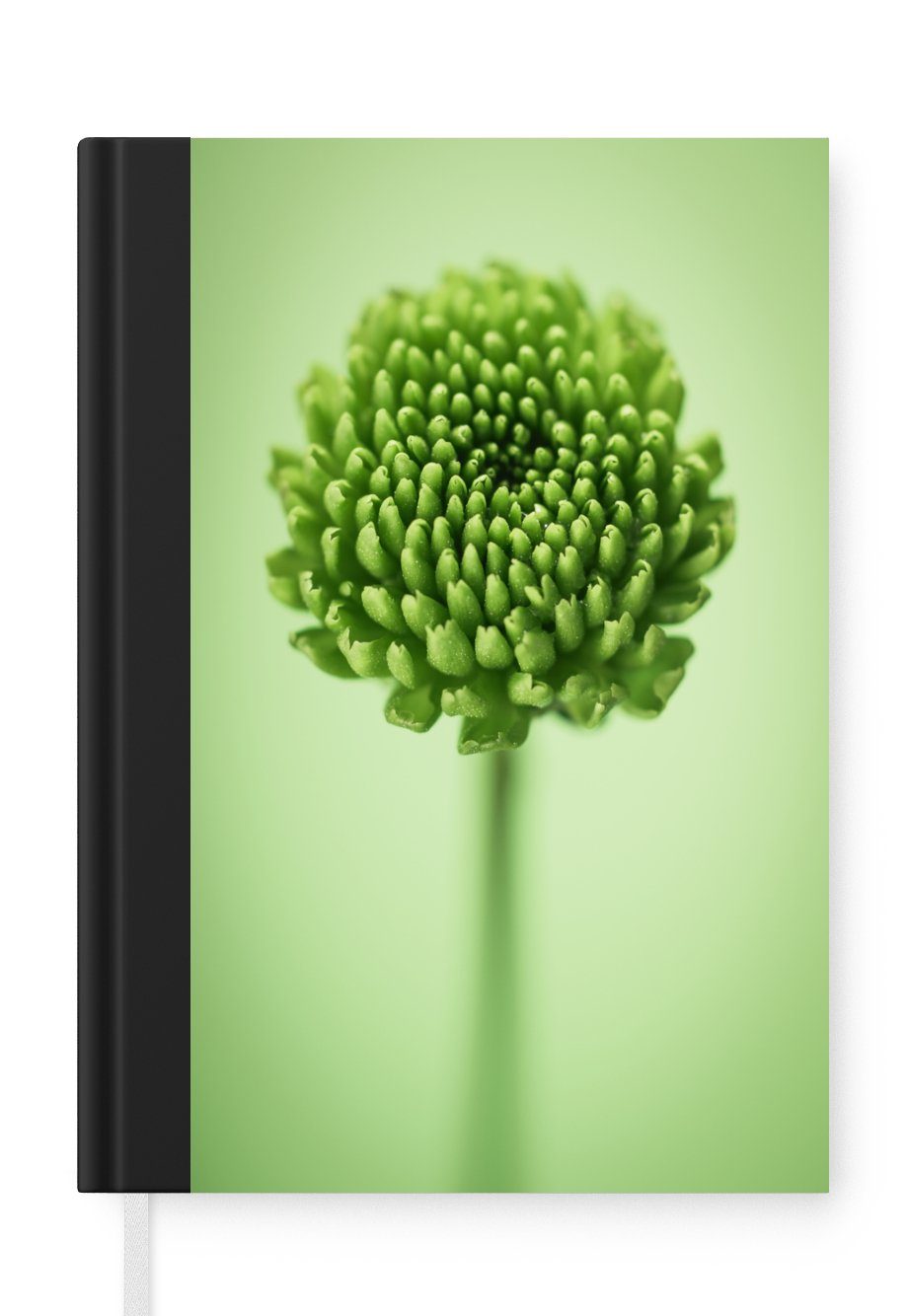 MuchoWow Notizbuch Grüne botanische Chrysanthemenblüte mit unscharfem Hintergrund, Journal, Merkzettel, Tagebuch, Notizheft, A5, 98 Seiten, Haushaltsbuch