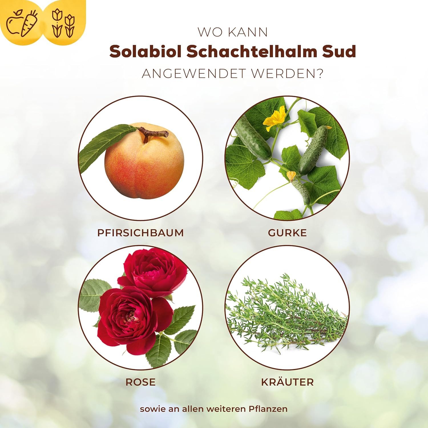 Solabiol Pflanzenstärkungsmittel Solabiol Schachtelhalm Sud 1 Liter