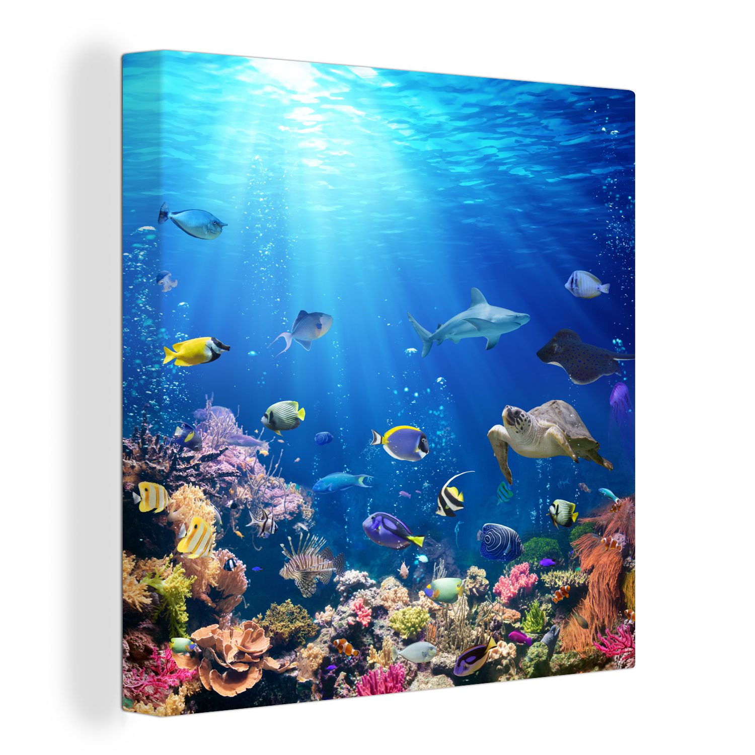 OneMillionCanvasses® Leinwandbild Sonne - Exotisch - Fisch, (1 St), Leinwand Bilder für Wohnzimmer Schlafzimmer | Leinwandbilder