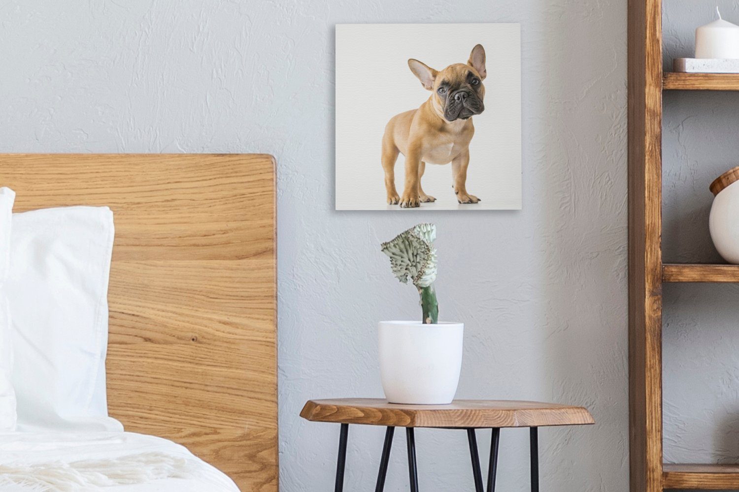 Wohnzimmer OneMillionCanvasses® für (1 - Weiß, Leinwandbild Bilder St), Schlafzimmer Braun Bulldogge Französische - Leinwand