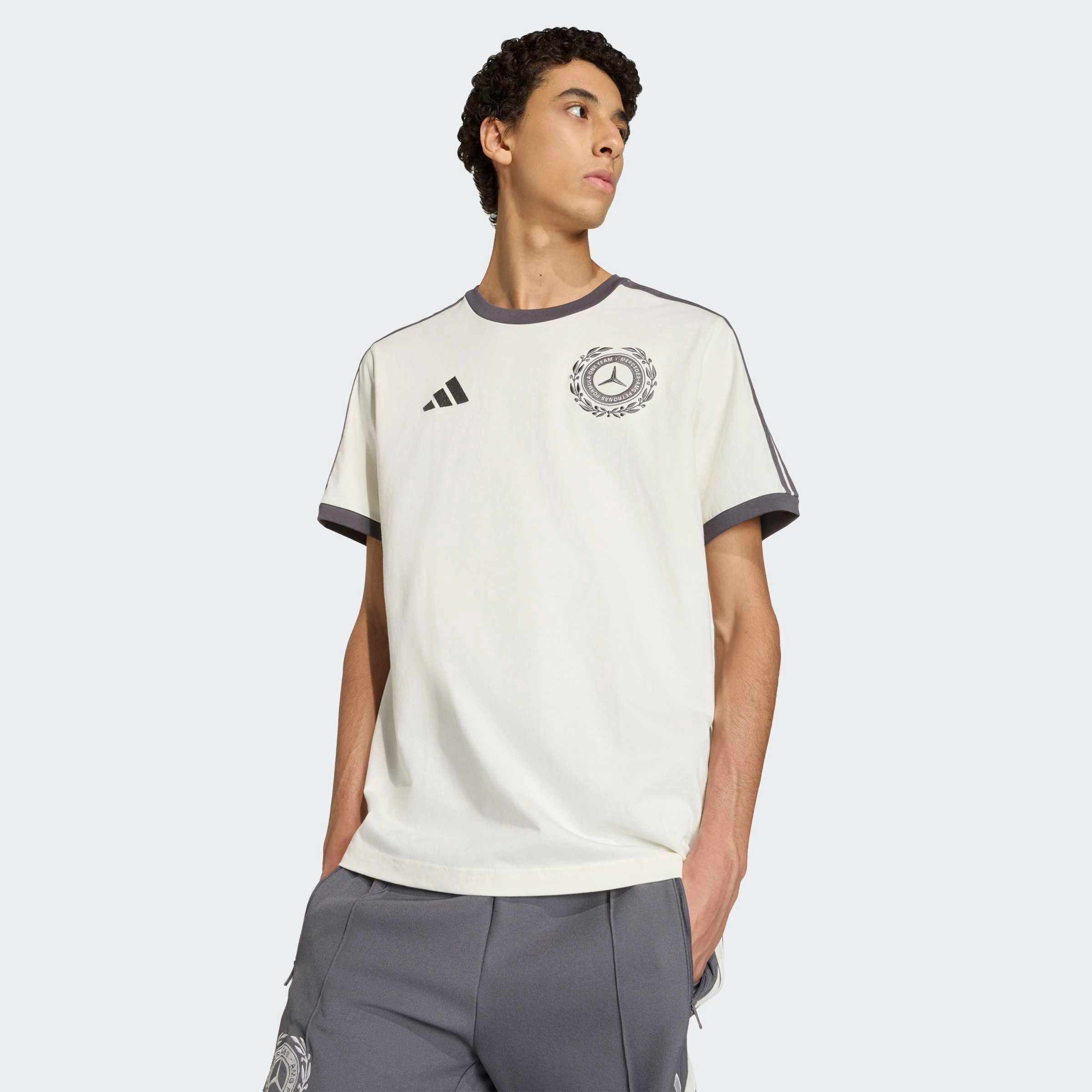 adidas Performance T-Shirt MERCEDES - AMG PETRONAS FORMULA 1 TEAM SILVER AR günstig online kaufen