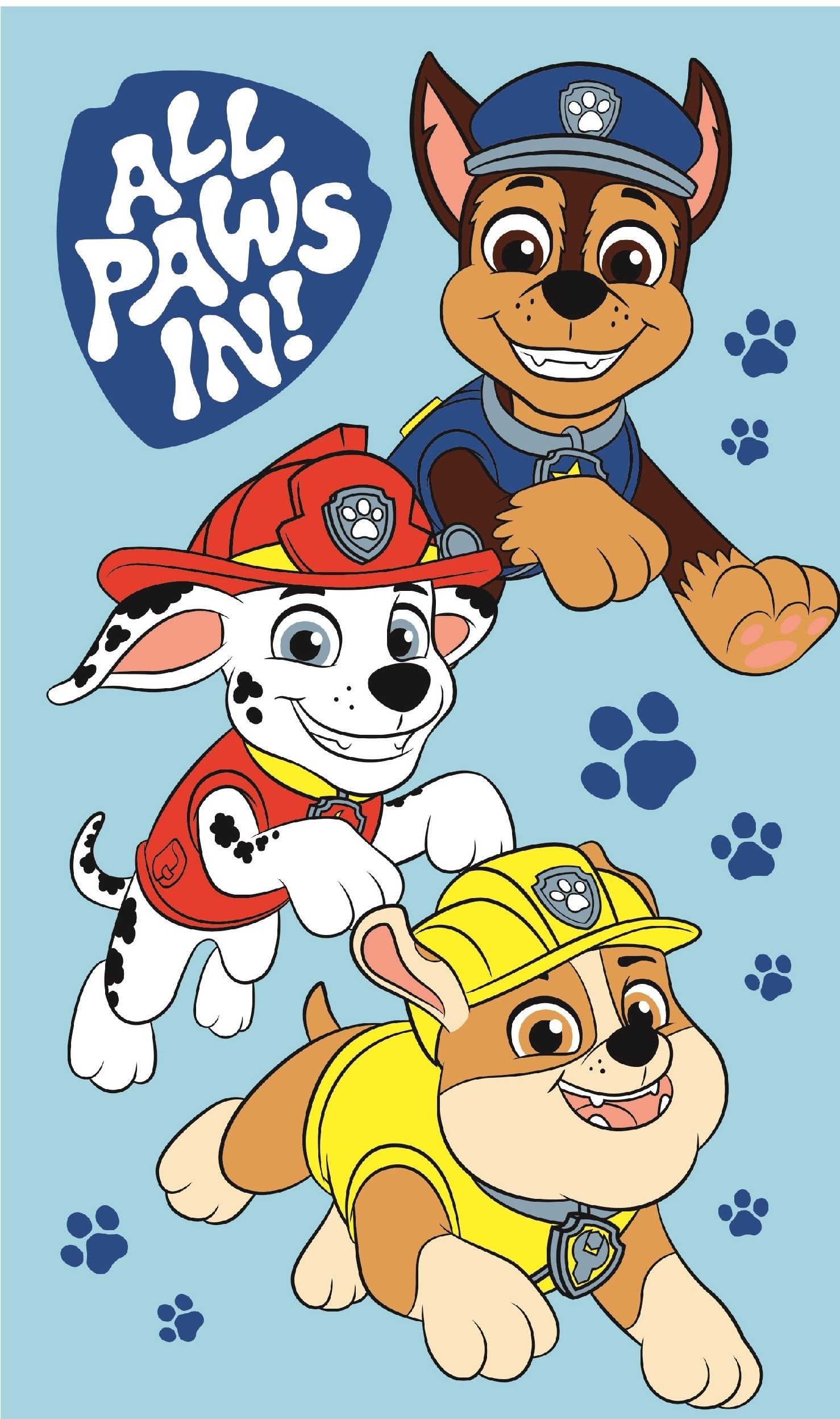 PAW PATROL Handtuch Handtuch 100% Baumwolle, 30x50 cm, schnelltrocknend & b günstig online kaufen