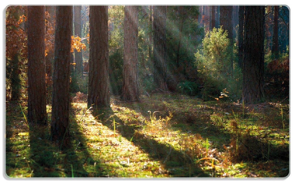 Herbstwald, rutschfester 4mm, 14x23cm Sonnenstrahlen Frühstücksbrett (inkl. ESG-Sicherheitsglas, Gummifüße 1-St), Wallario im
