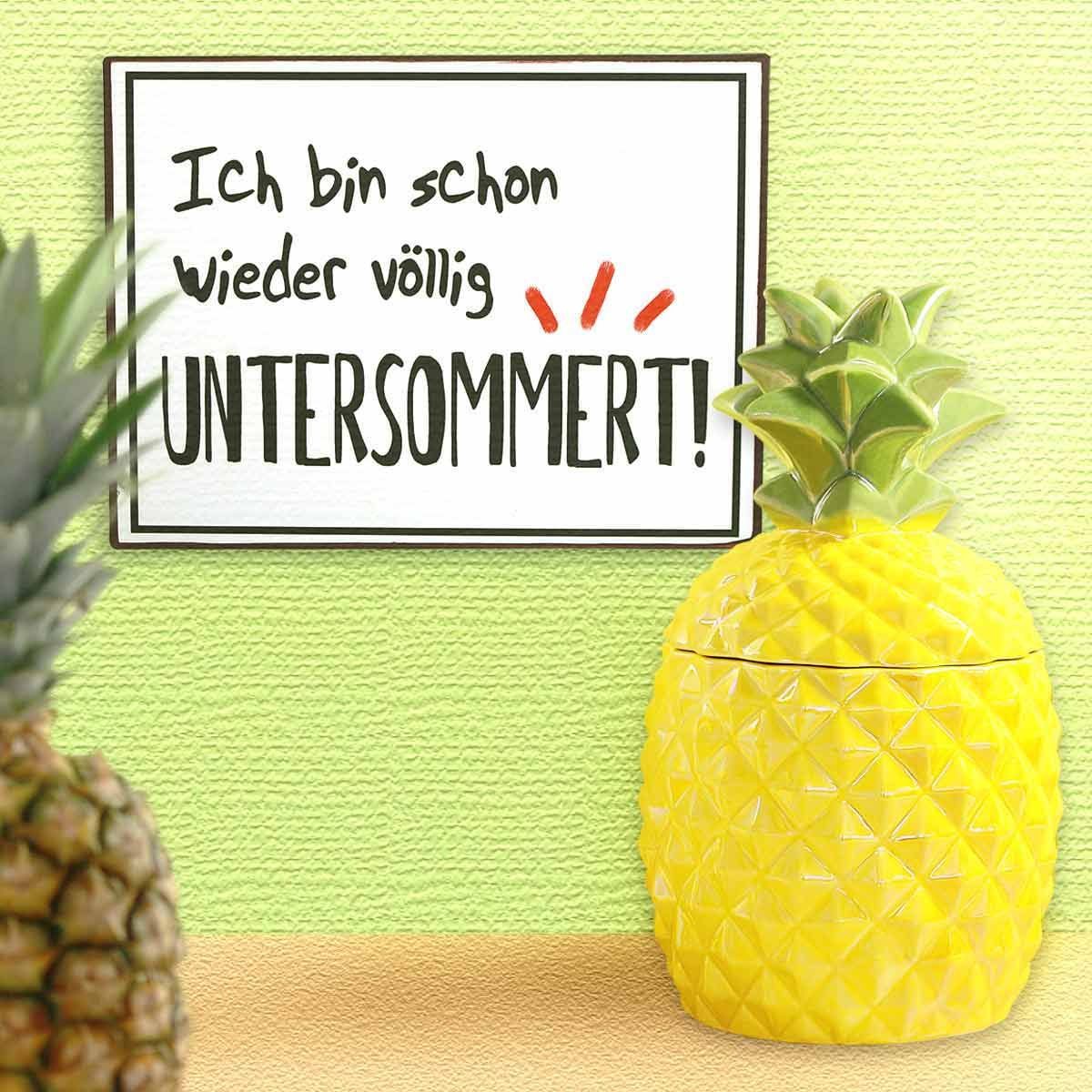 Achla Designs Ananas Vogelfutterhaus Aus Metall – Schwarze Pulverbeschichtung, 20,3 Cm | Ideal Für Sonnenblumenkerne, Wetterfest