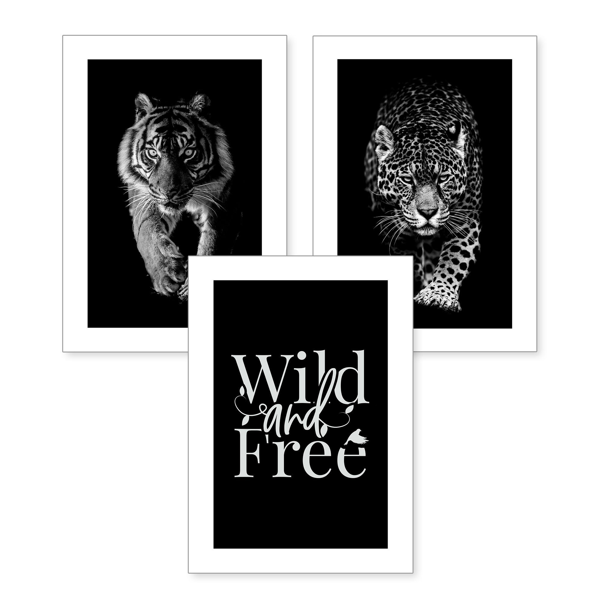 Kreative Feder Poster, Tiger, Leopard, Schwarz-Weiß, Tiere, Katze, Raubkatze, wild, free (Set, 3 St), 3-teiliges Poster-Set, Wandbild, optional mit Rahmen, DIN A4 oder A3