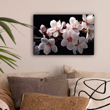OneMillionCanvasses® Leinwandbild Sakura - Blumen - Blütenzweige - Botanisch - Weiß, (1 St), Wandbild Leinwandbilder, Aufhängefertig, Wanddeko, 30x20 cm