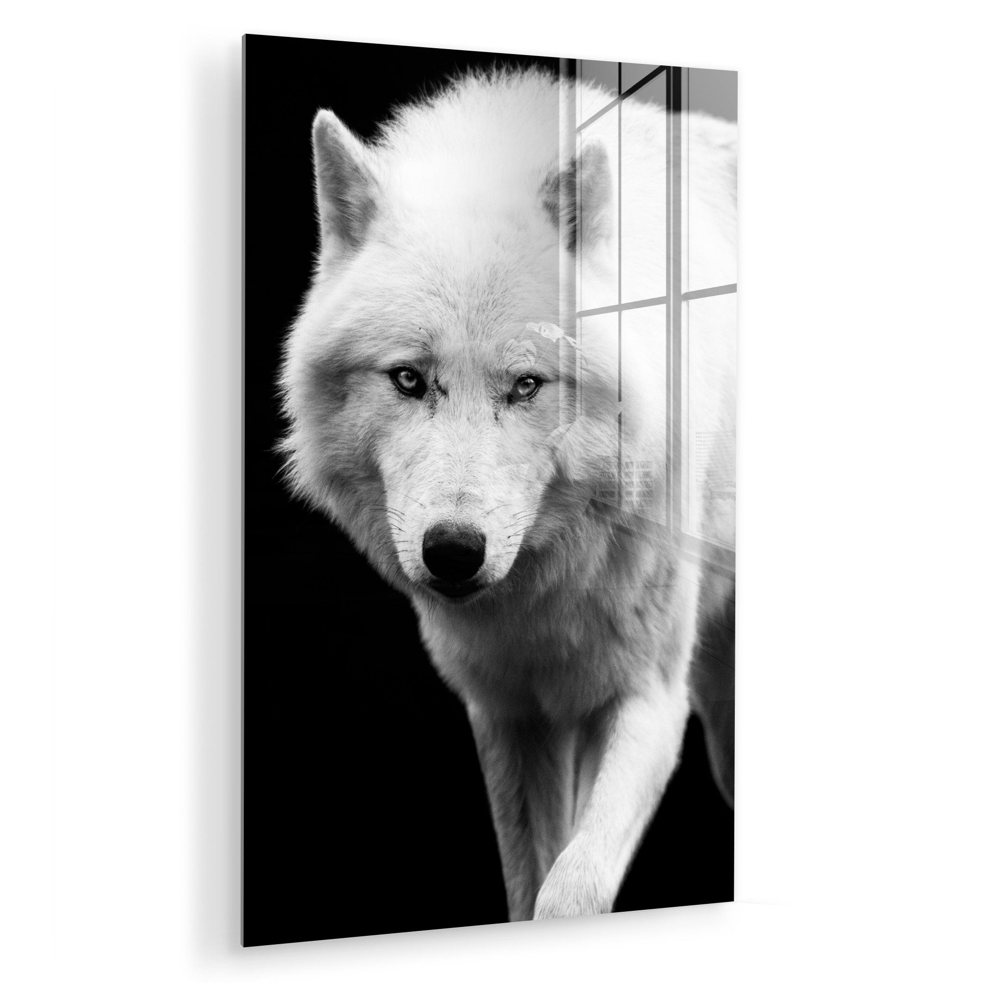 MuchoWow Acrylglasbild Wolf - Tier - günstig online kaufen