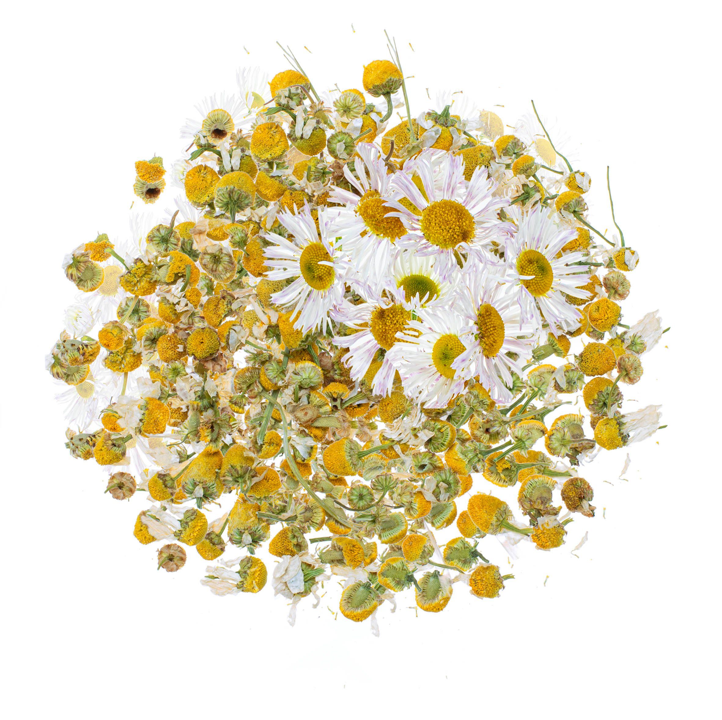Kunstpflanze Glorex, Blüten, getrocknet g Gelb 2