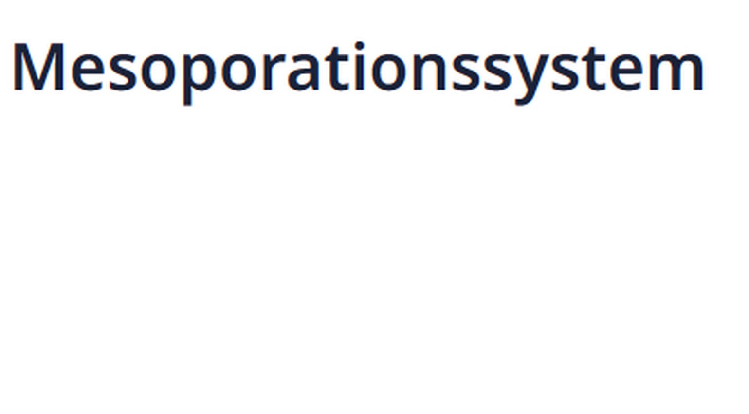 Mesoporationssystem