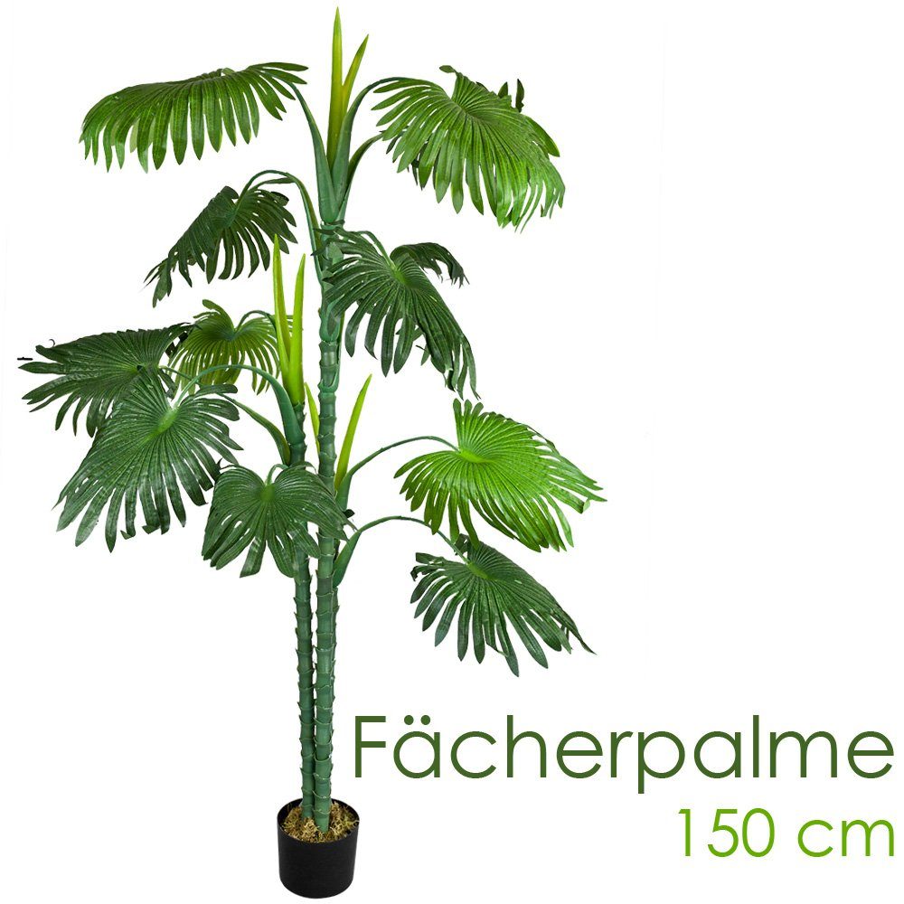 Kunstpalme Palme Palmenbaum Fächerpalme Kunstpflanze Künstliche Pflanze 150 cm, Decovego, Höhe 150 cm