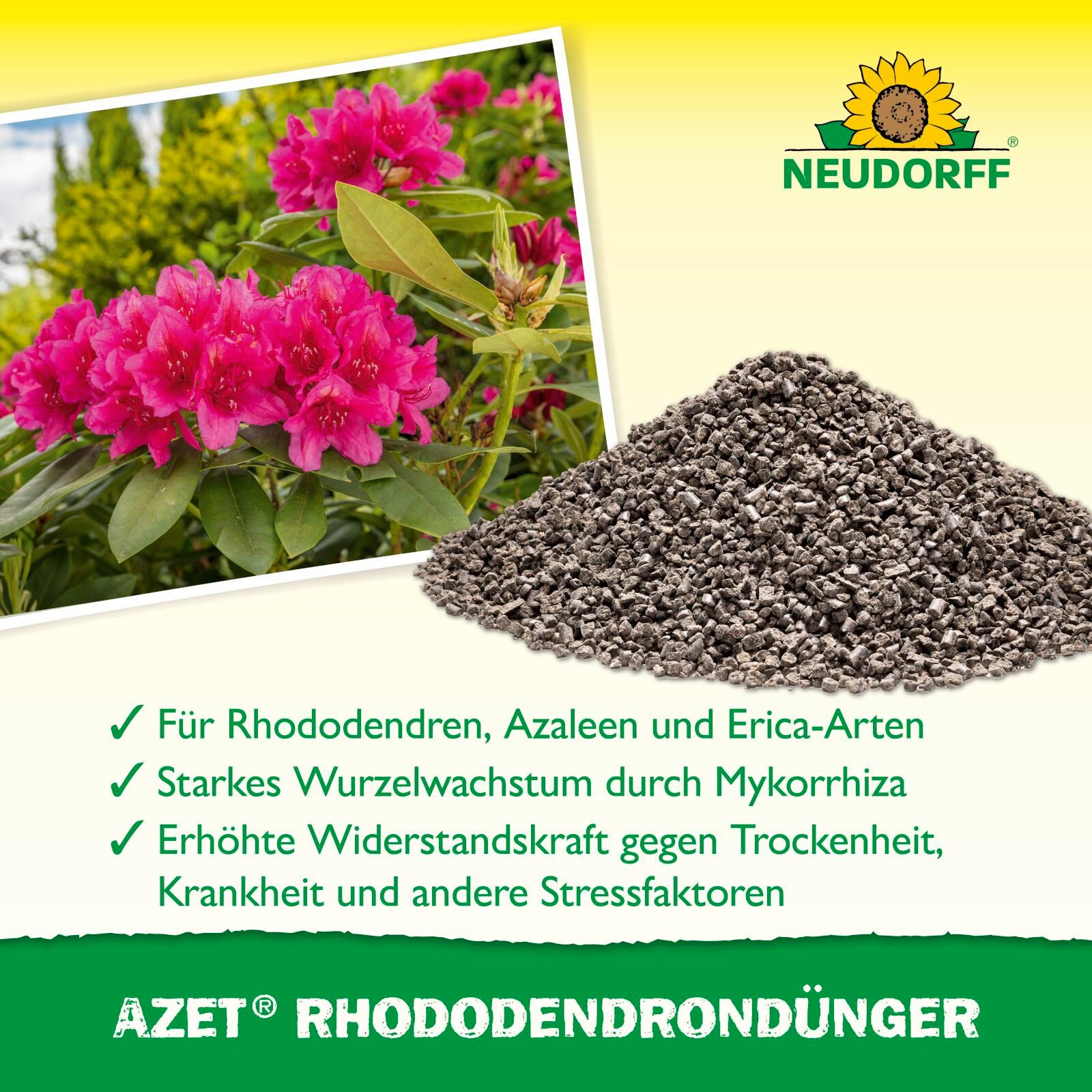 Neudorff Pflanzendünger Azet RhododendronDünger 1 kg günstig online kaufen