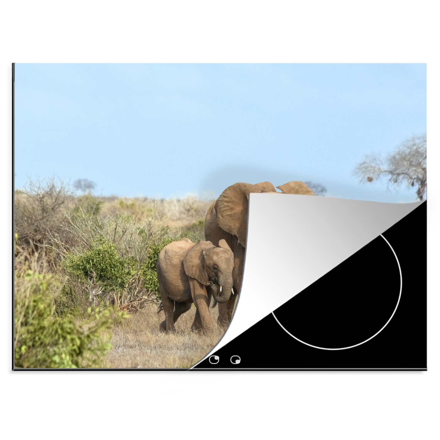 MuchoWow Herdblende-/Abdeckplatte Elefant cm, Natur, Arbeitsfläche Vinyl, Ceranfeldabdeckung - (1 70x52 tlg), Mobile Baby - nutzbar