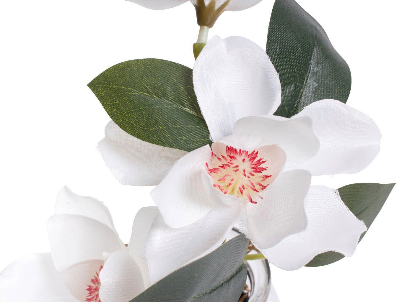 Kunstblume Magnolie im Glas, Botanic-Haus, Höhe 18 cm – Bild 2 von 3
