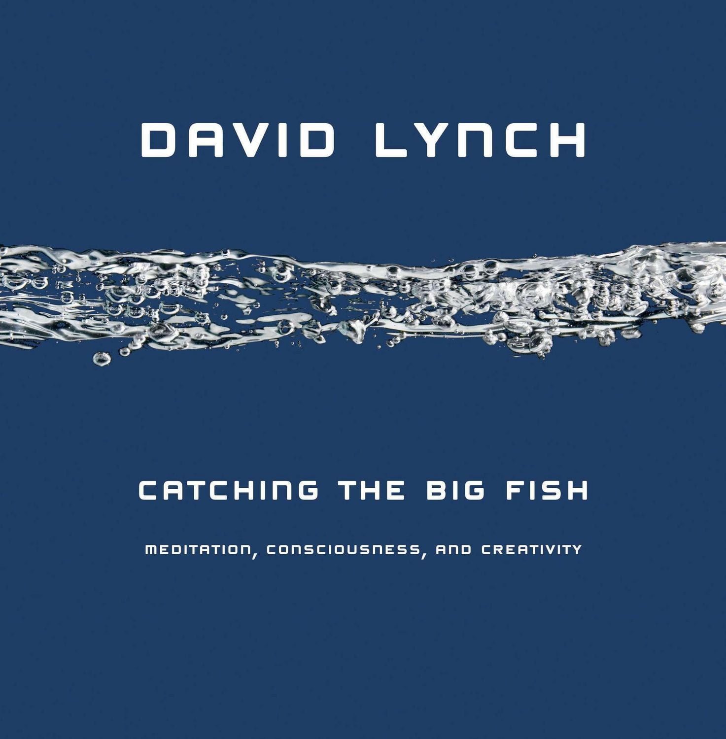 Catching the Big Fish / David Lynch