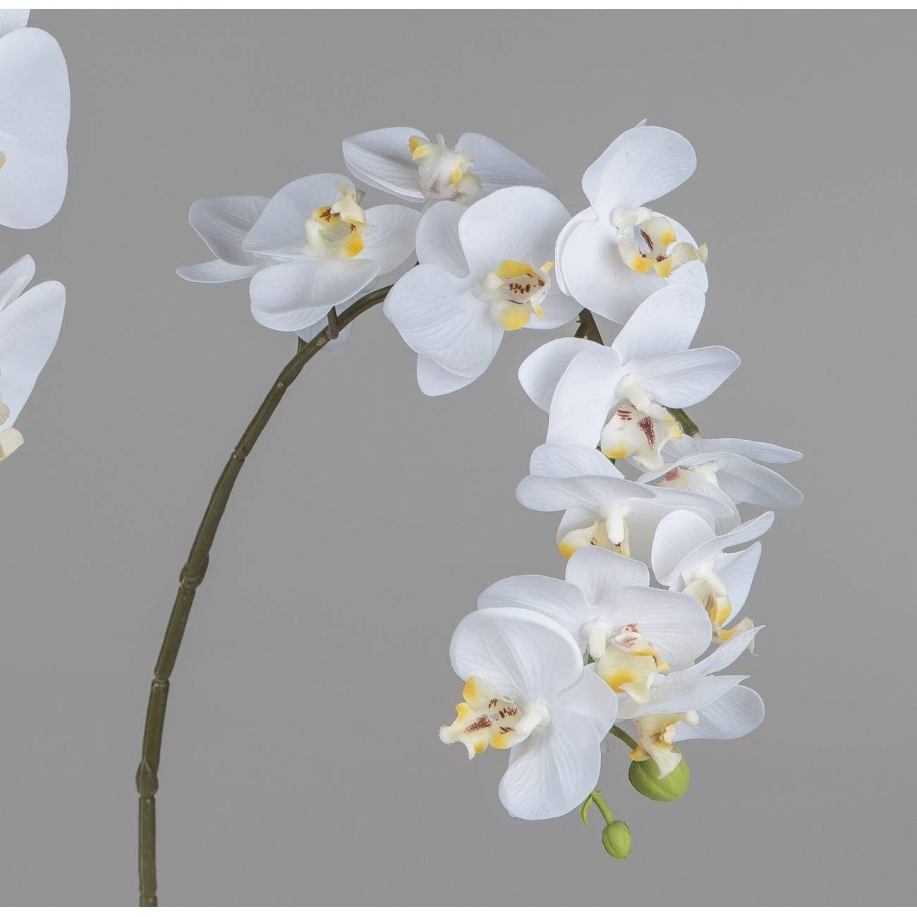 Kunstblume, formano, Höhe 56 cm günstig online kaufen