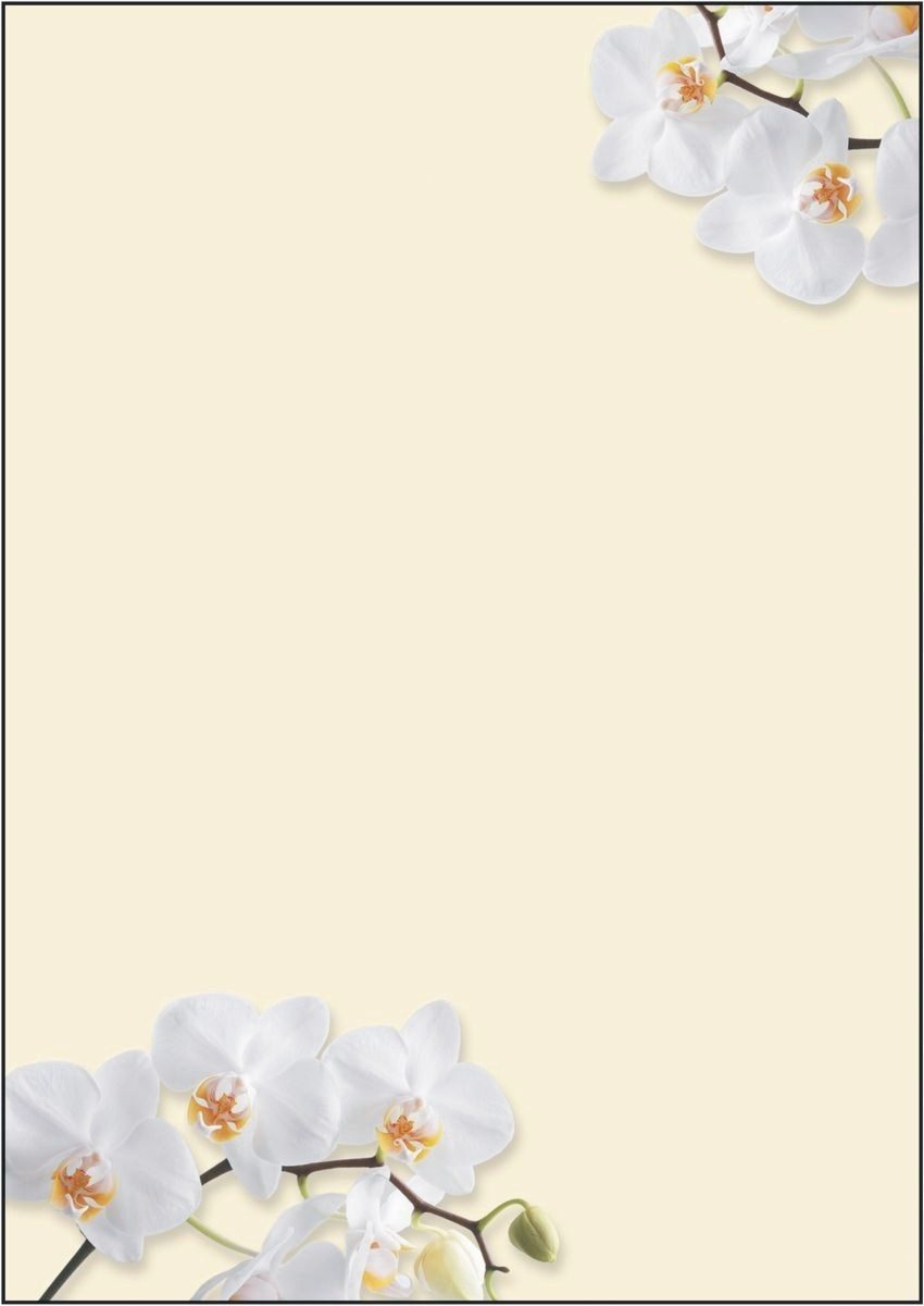 Sigel Designpapier Designpapier White Orchid A4 90g/qm VE=50 Blatt
