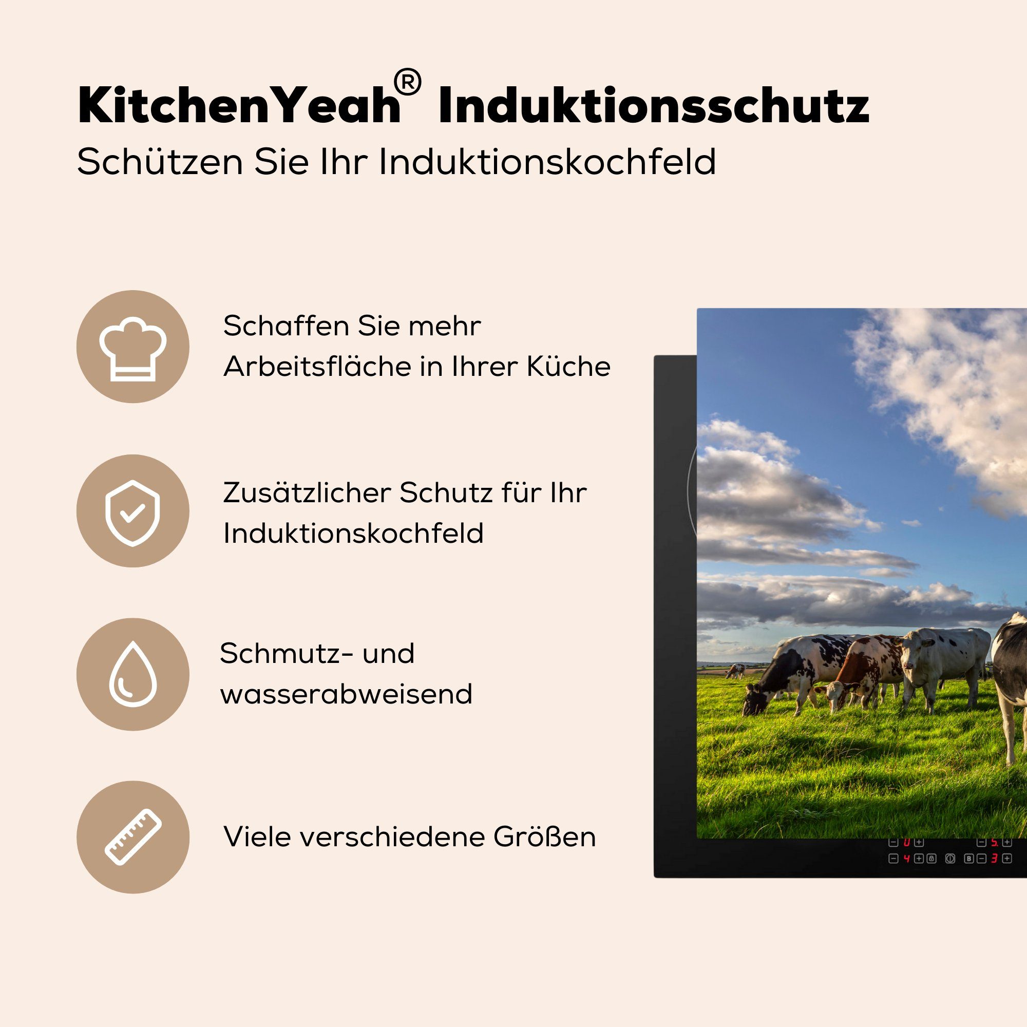 Herdblende-/Abdeckplatte für Gras, Vinyl, Ceranfeldabdeckung (1 Induktionskochfeld - - Licht die MuchoWow küche, Kühe cm, Schutz tlg), 81x52