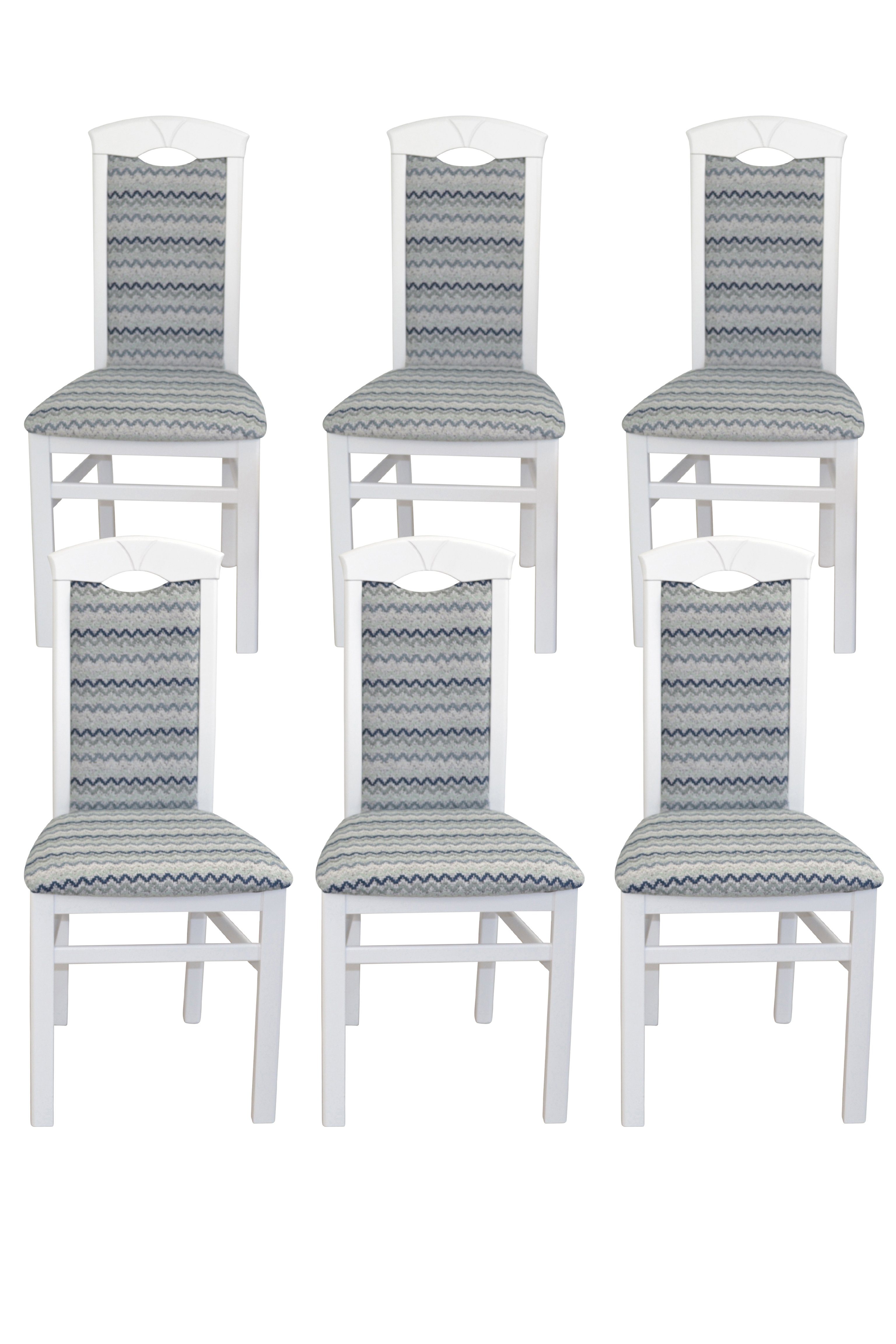 moebel-direkt-online Esszimmerstuhl 6 Stühle (Spar-Set, = Gestell weiß/blau 6er-Set), Farbe3 Massivholz aus