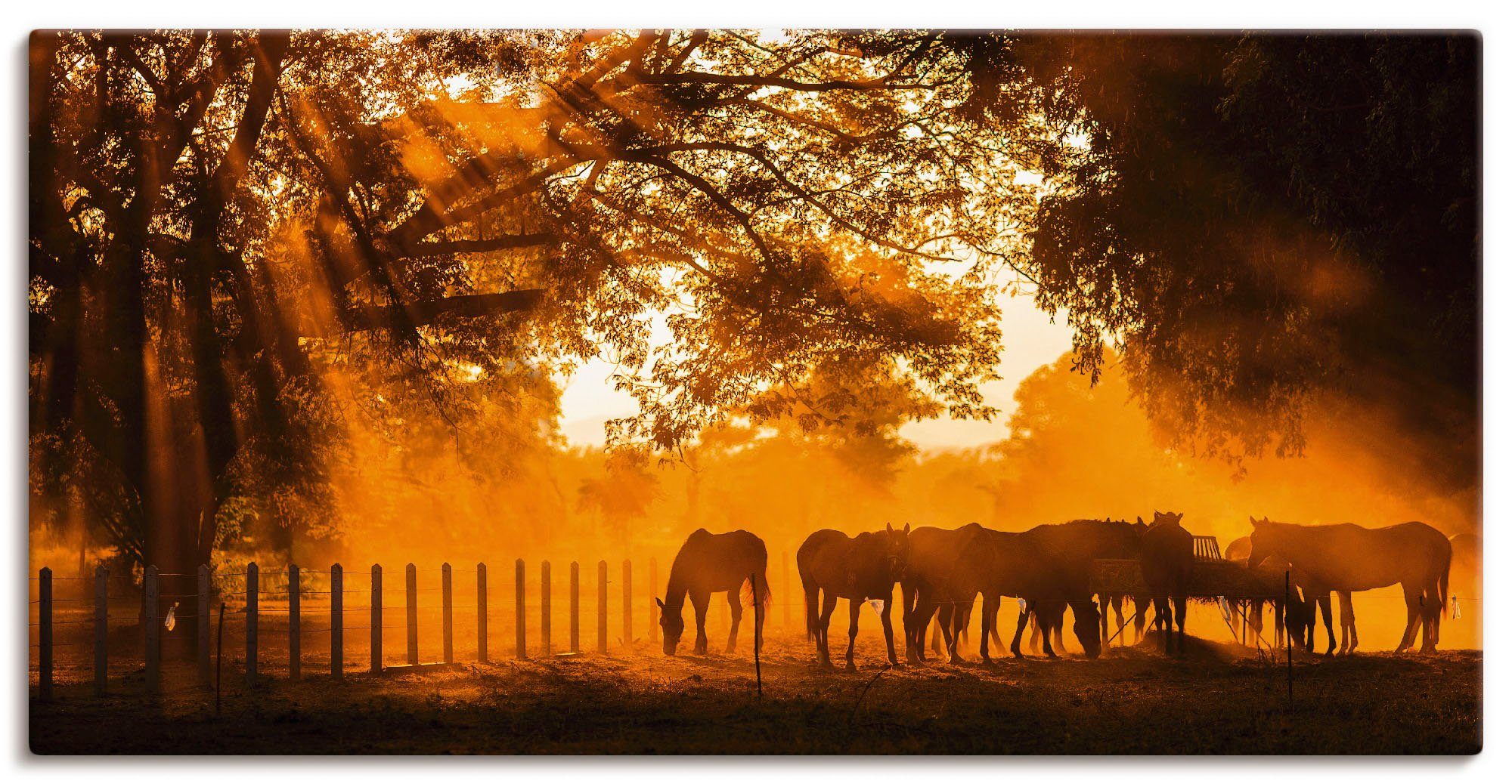 Artland Wandbild Goldenes Licht auf der Pferdewiese, Haustiere (1 St), als Alubild, Leinwandbild, Wandaufkleber oder Poster in versch. Größen | Poster