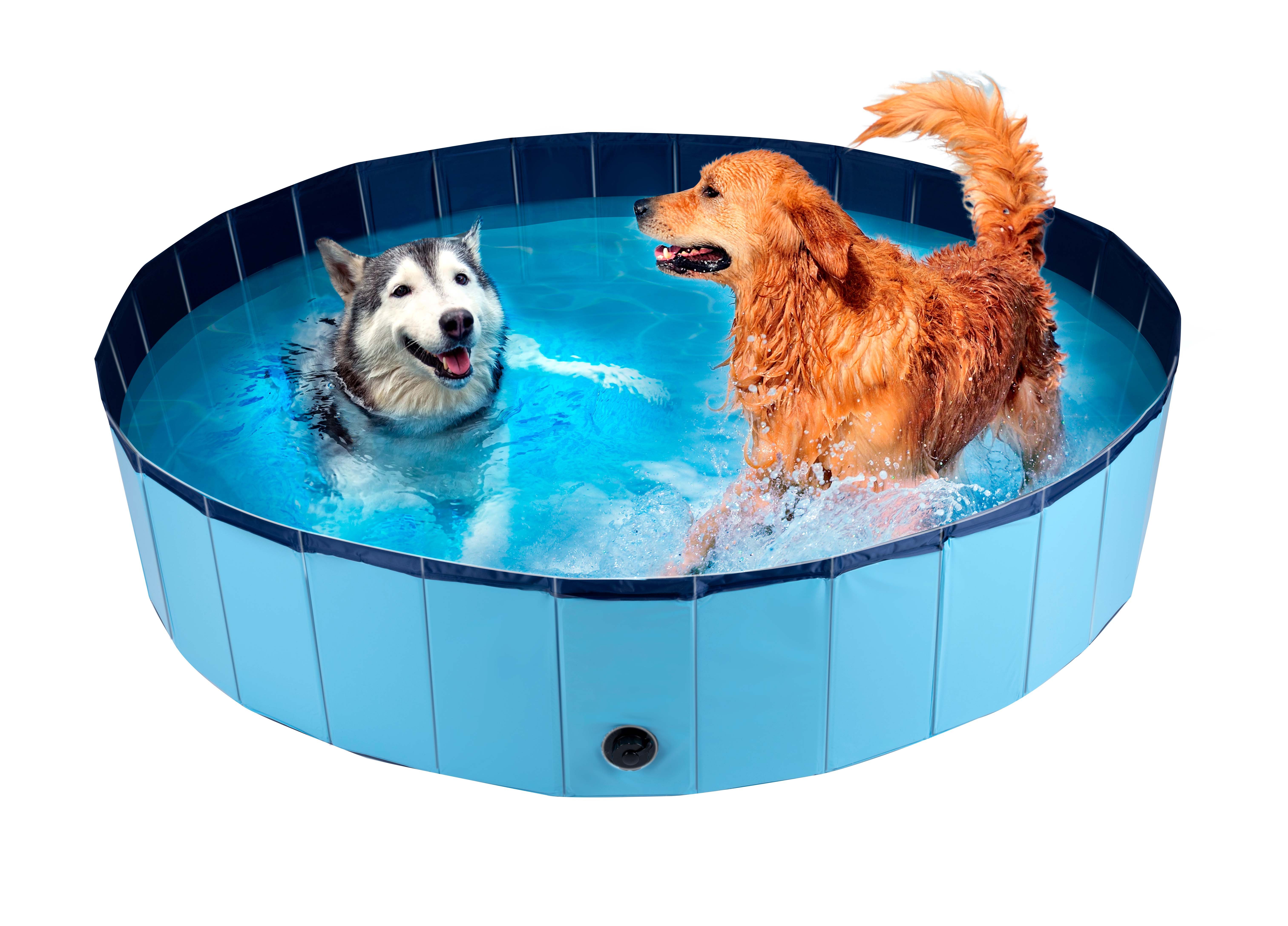 Outdoor-Spielzeug maxxpro Hundepool 160 x 30 CM