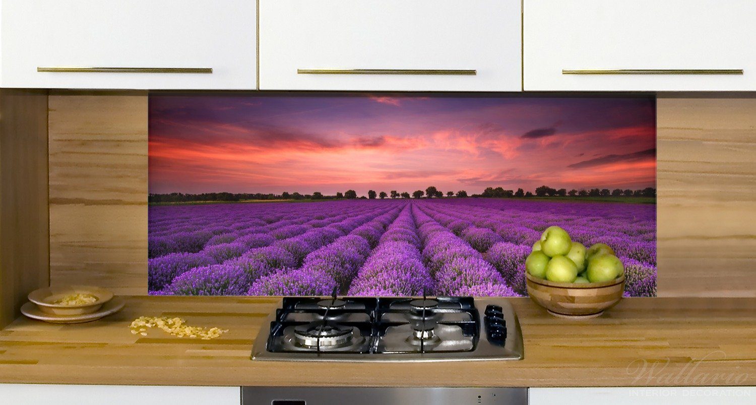 Lavendelfeld unter rotem (1-tlg) Himmel, Wallario Küchenrückwand