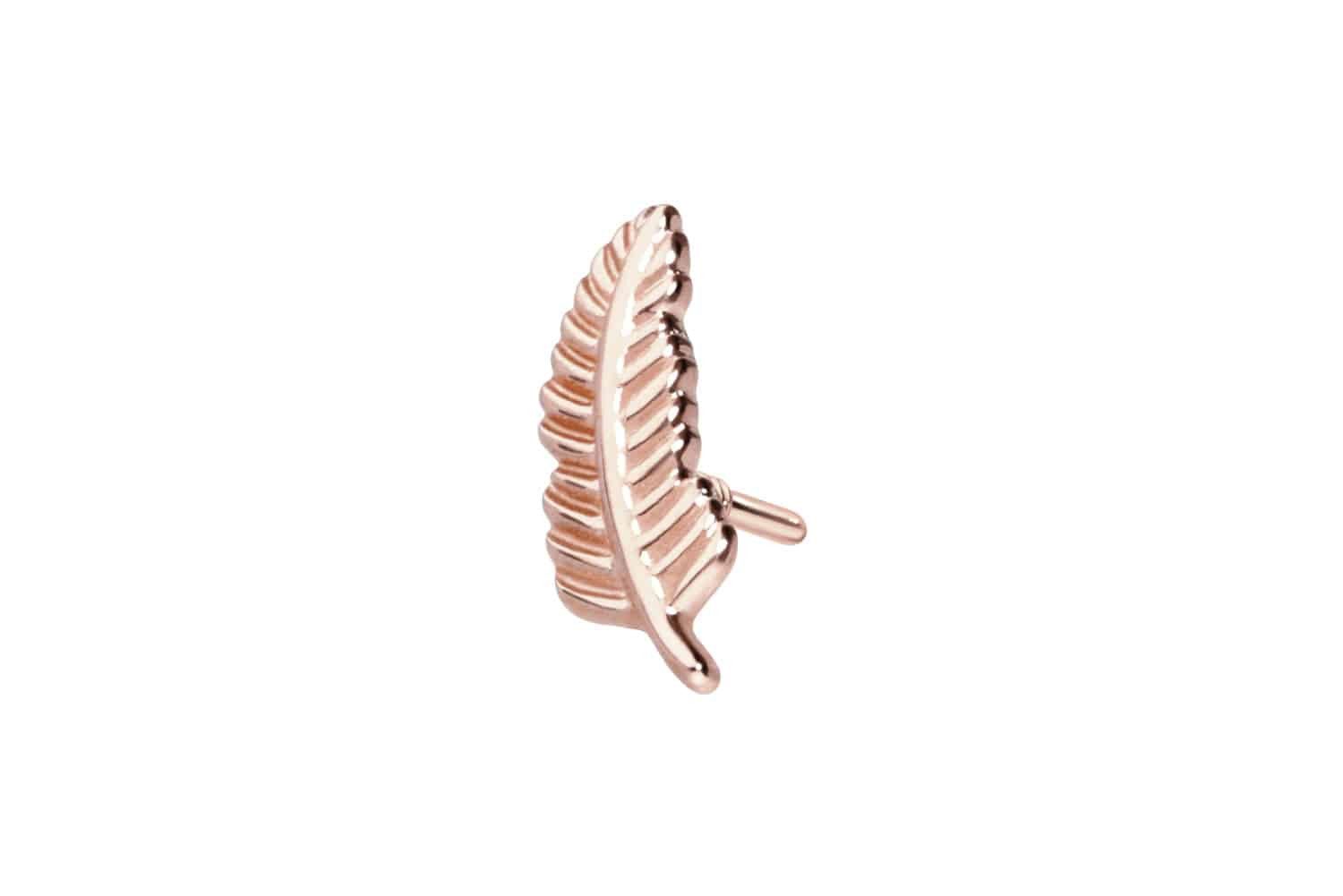 Piercing-Set 14 Karat Gold Schraubaufsatz mit Außengewinde FEDER