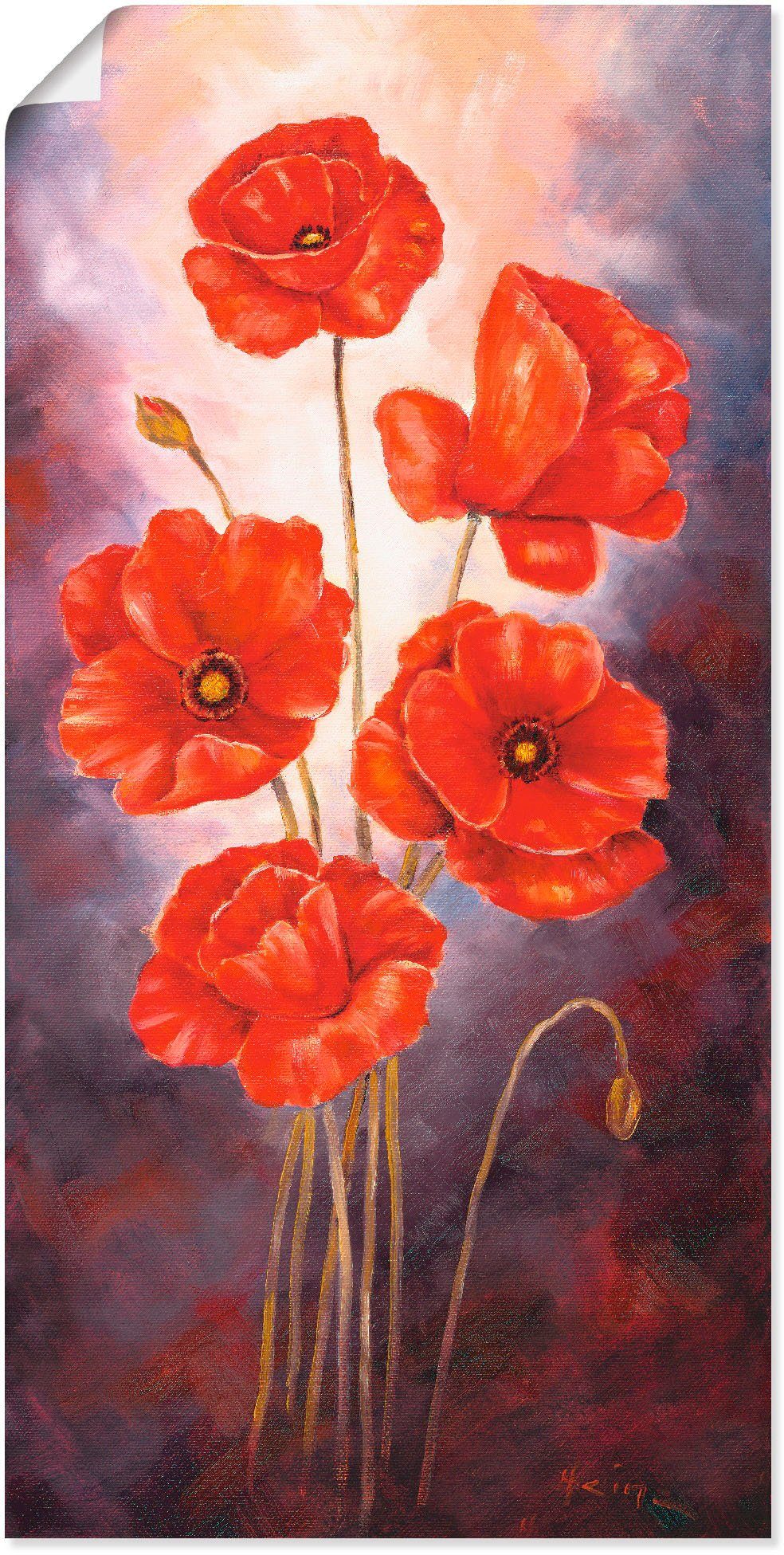 Artland Wandbild Mohn V, Blumen (1 St), als Alubild, Leinwandbild, Wandaufkleber oder Poster in versch. Größen