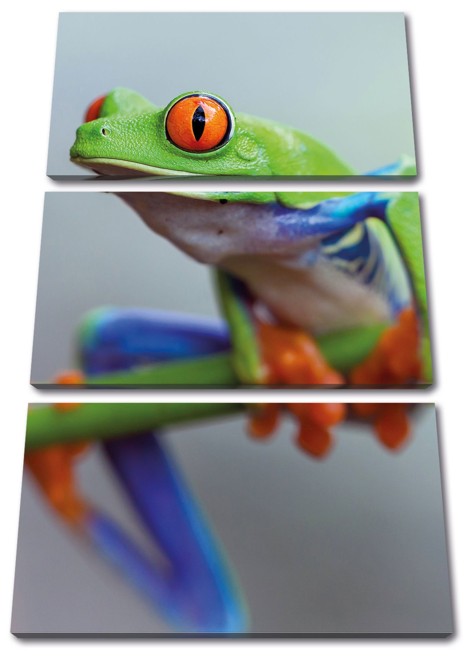 Pixxprint Leinwandbild Grüner Frosch auf Ast, Grüner Frosch auf Ast 3Teiler (120x80cm) (1 St), Leinwandbild fertig bespannt, inkl. Zackenaufhänger