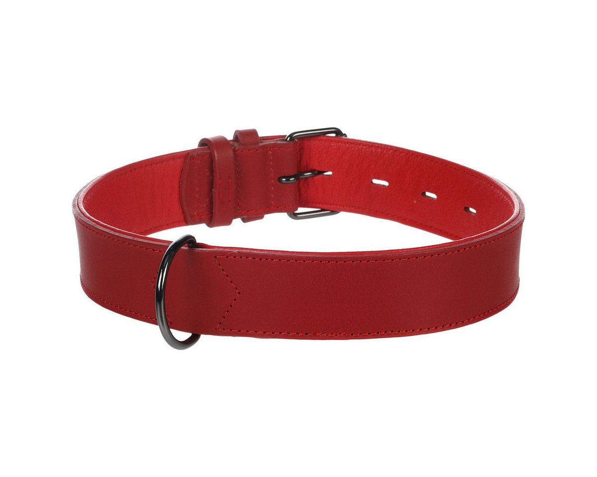 Thumbnail - Flamingo Hunde-Halsband Halsband gepolstert & breit Denver rot