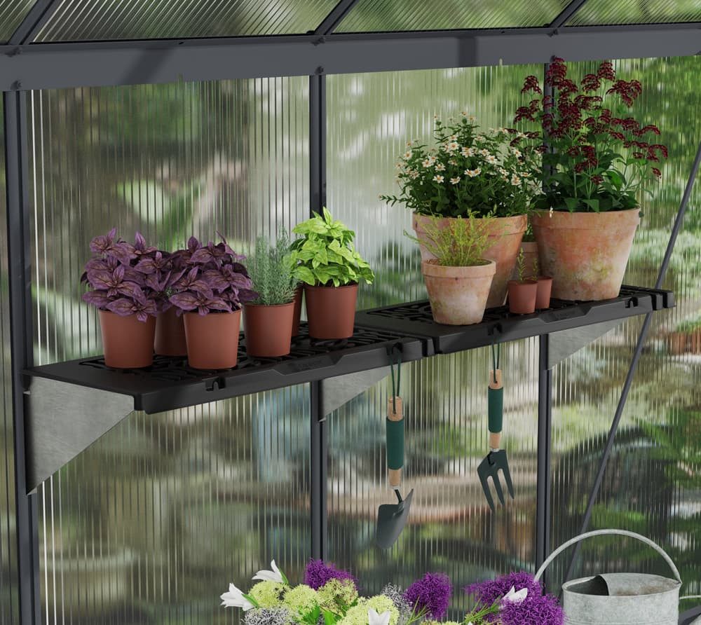 Palram - Canopia Gewächshaus, x 17  | R...