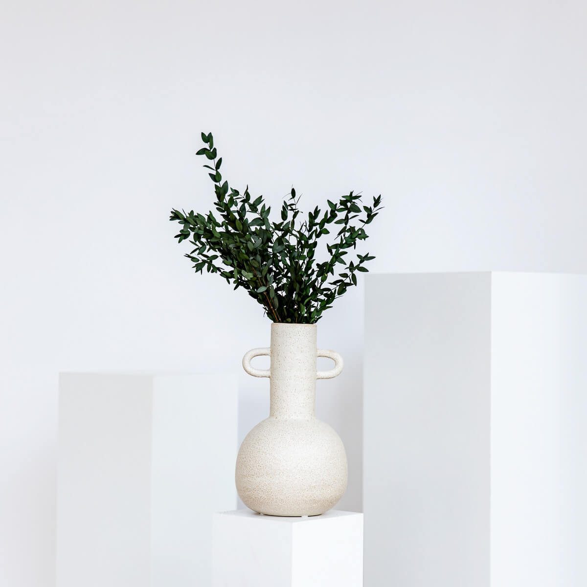 Trockenblume Eukalyptus Pavi - der Schicke, LYKKE & You