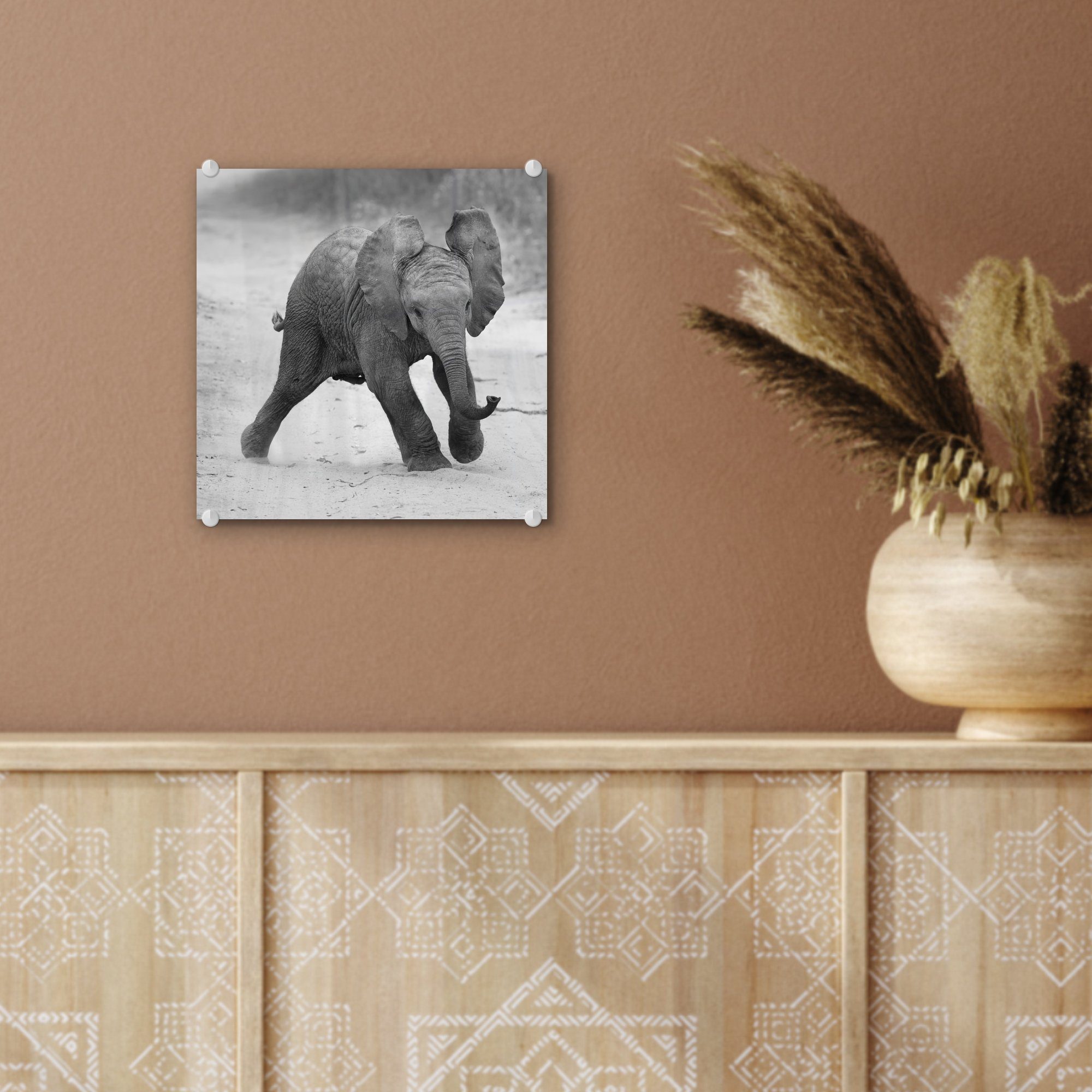 MuchoWow Acrylglasbild Elefant - Baby St), - - und - Bilder - - Kröte weiß, - Glas auf Wandbild Glasbilder Tiere auf (1 Foto Glas Schwarz Wanddekoration