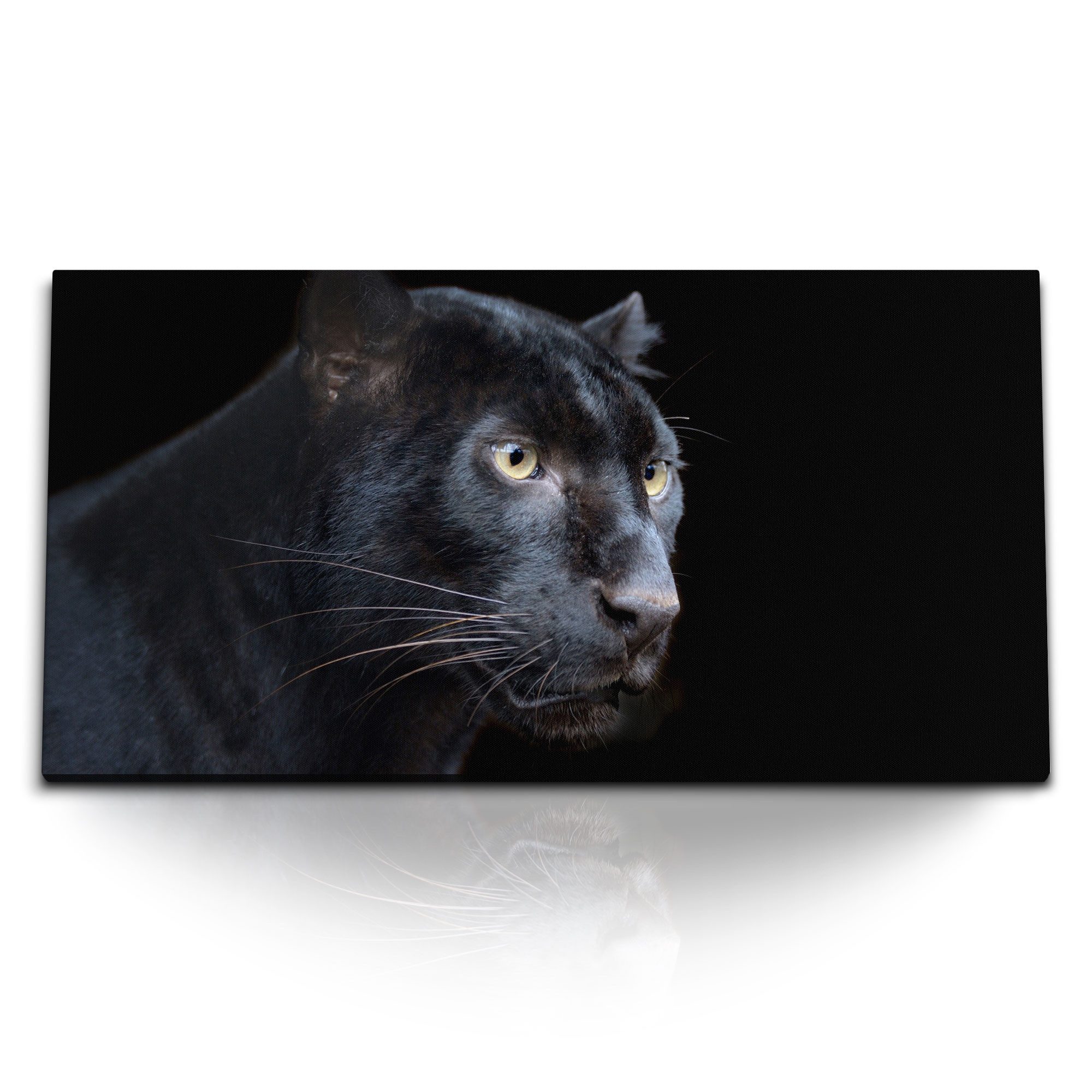 Leinwandbild Kunstdruck Bilder 120x60cm Schwarzer Panther Raubkatze Tierfotografie