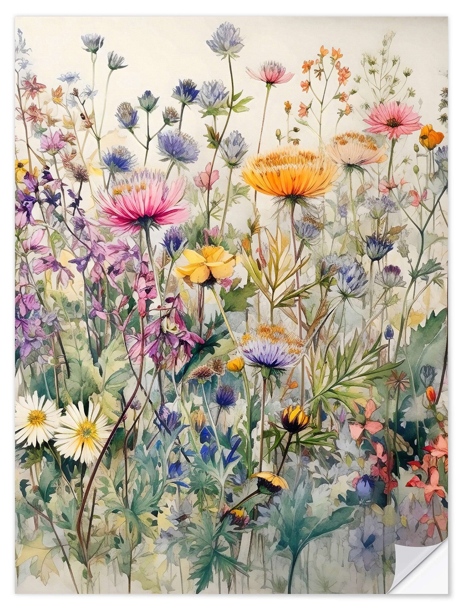 Posterlounge Poster Ryley Gray, Wildblumen II, günstig online kaufen