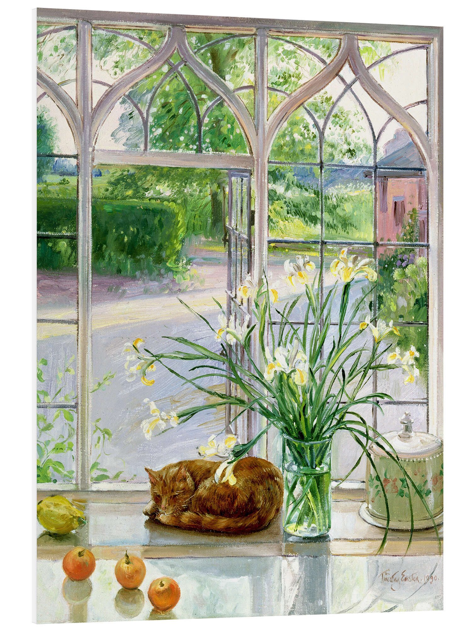 Posterlounge Wandbild Schlafende Katze im Fenster, Timothy Easton, erhältlich als Poster, Leinwandbild, Wandsticker oder Acrylglasbild