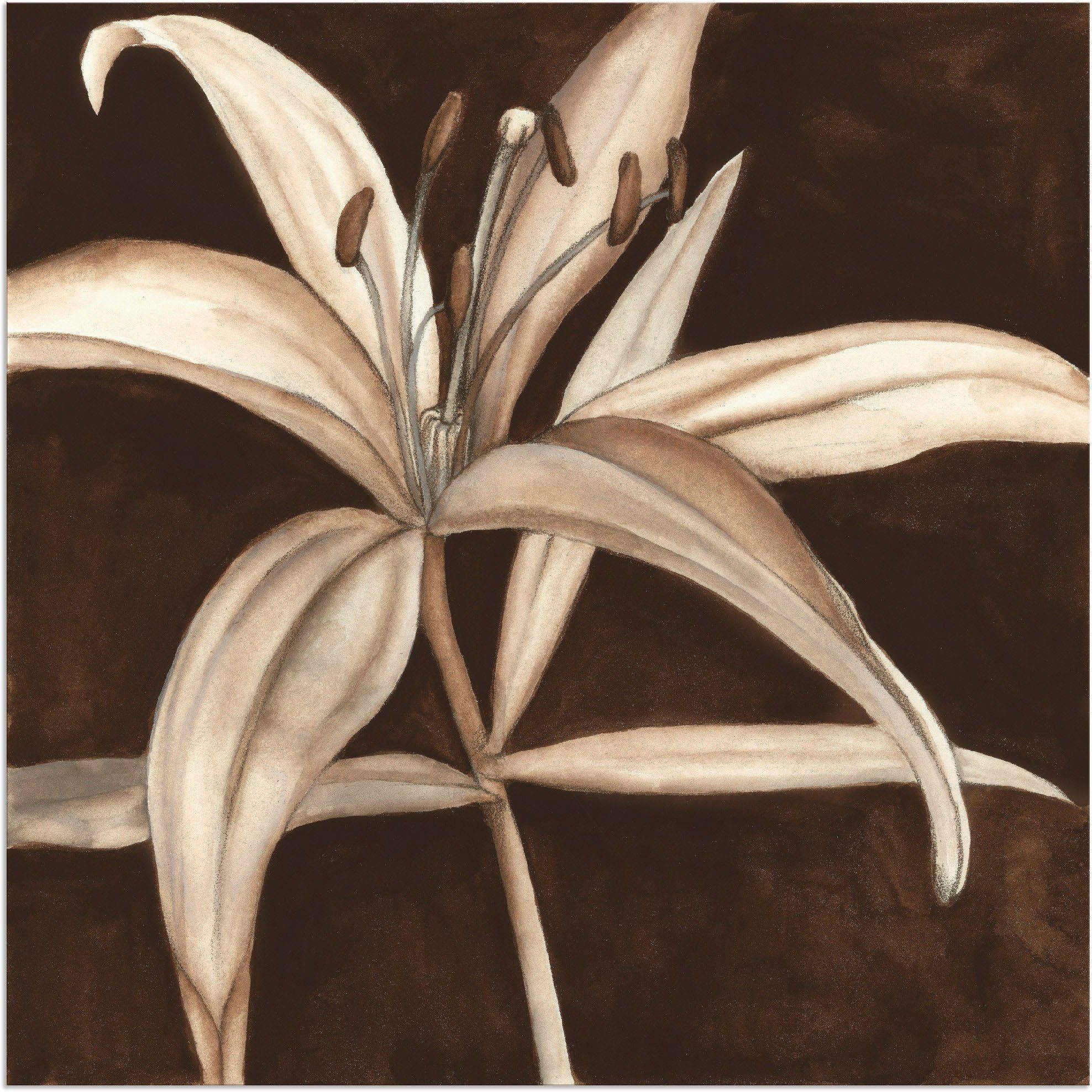 Leinwandbild, versch. St), Blumen (1 als Artland II, in Größen oder Wandaufkleber Sepia Wandbild Lilie Poster Alubild,