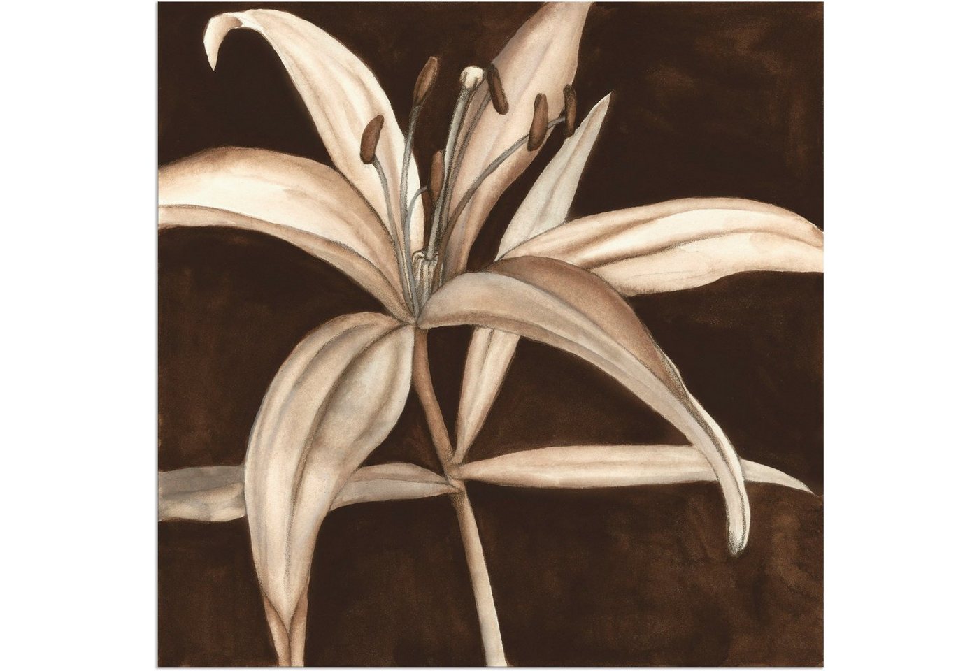Artland Wandbild »Sepia Lilie II«, Blumen (1 Stück), in vielen Größen & Produktarten - Alubild / Outdoorbild für den Außenbereich, Leinwandbild, Poster, Wandaufkleber / Wandtattoo auch für Badezimmer geeignet-HomeTrends