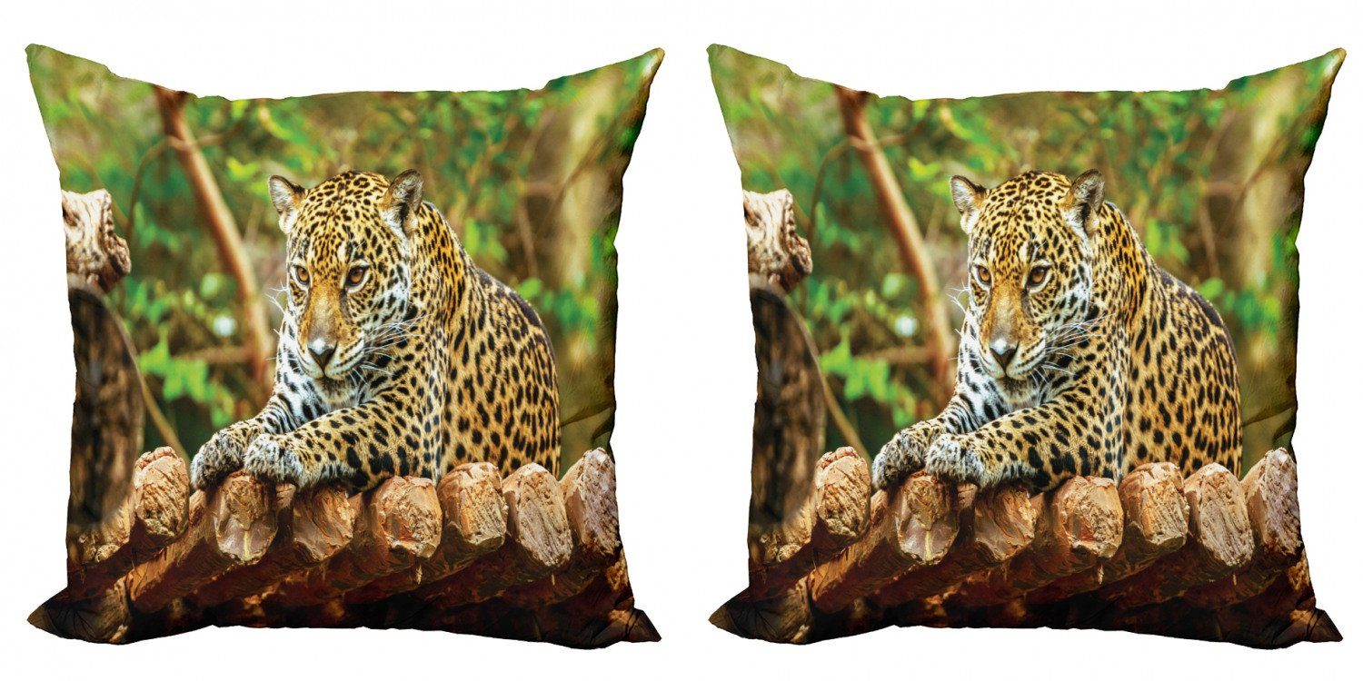 Jaguar Holz Doppelseitiger Abakuhaus Stück), (2 Wilde auf Zoo Kissenbezüge Digitaldruck, Modern Accent Feline