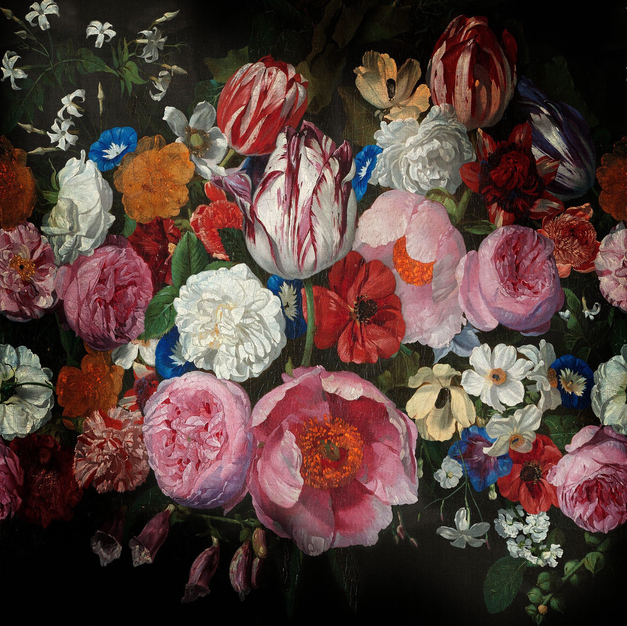 Rasch Fototapete Blumen Blüten - Vliestapete Schwarz, floral, bedruckt, (1 Rolle, 1 St., Kollektion 'Magicwalls' - 2,65 m x 2,65 m), Lichtbeständige Farben - Feucht abwischbar - Restlost abziehbar