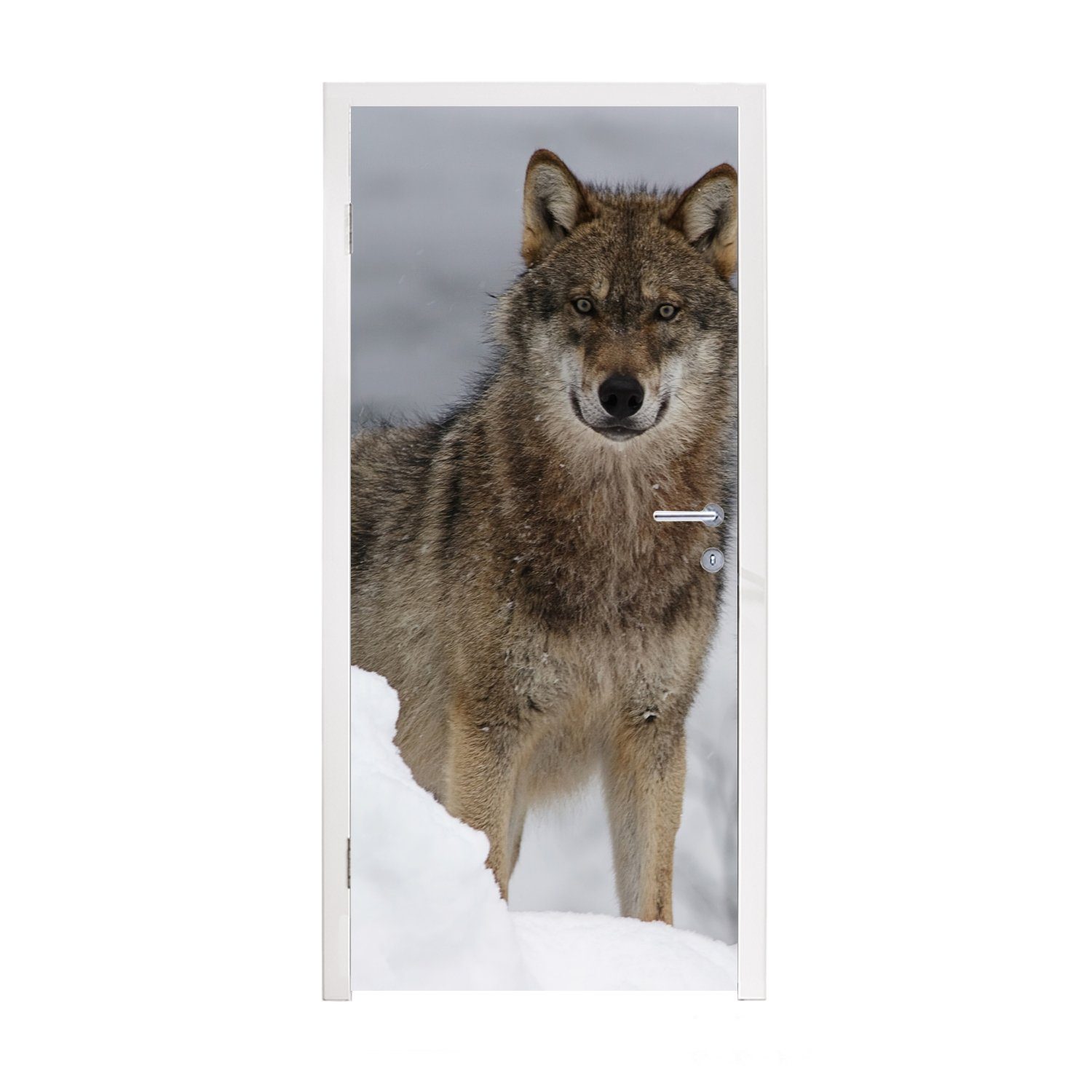 - Tiere, Schnee - für (1 MuchoWow St), Türtapete Türaufkleber, bedruckt, Matt, Tür, Wolf cm 75x205 Fototapete