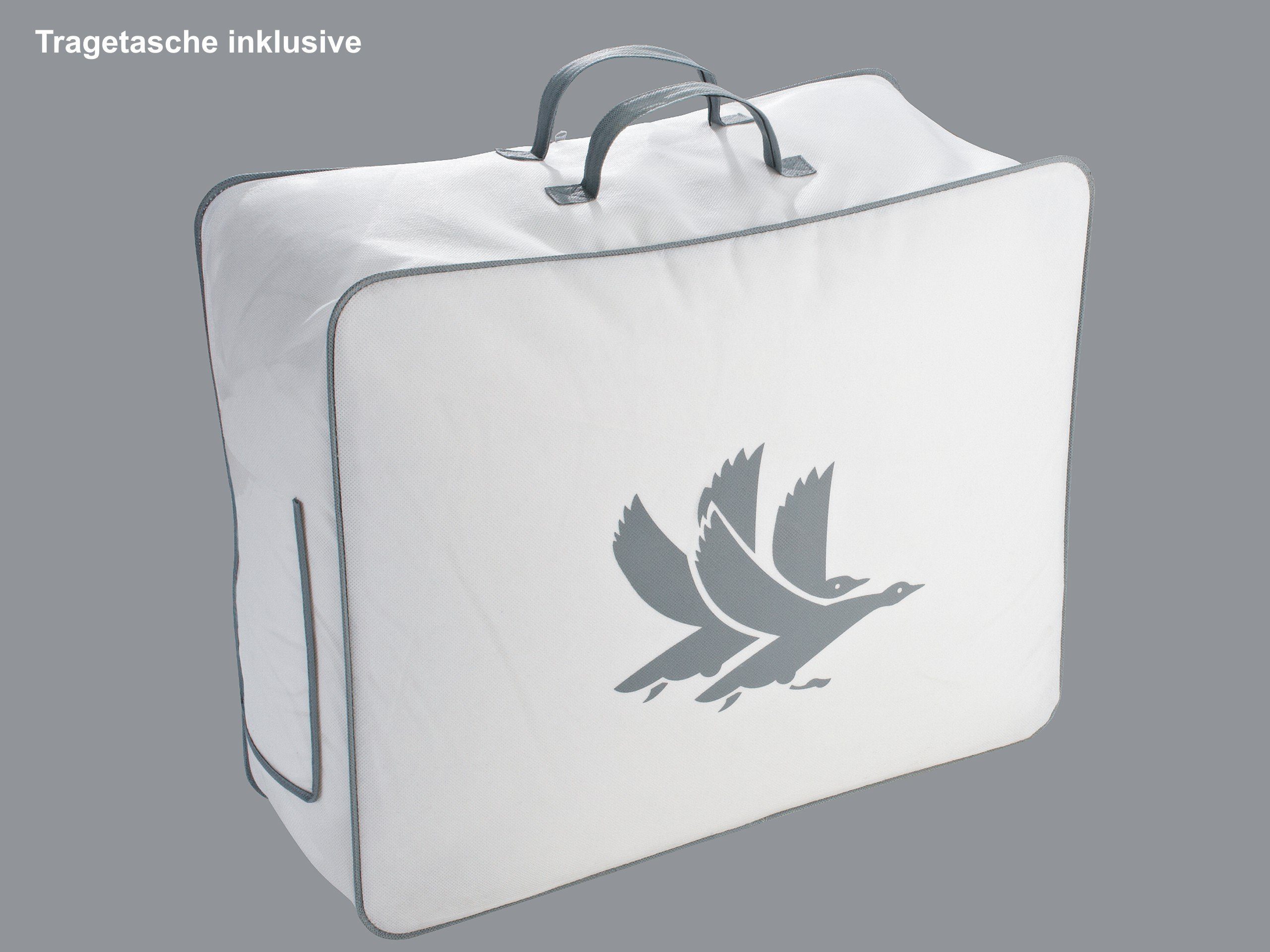 TraumDaune Daunenbettdecke Typ EIDER Premium Winterdecke (Wärmegrad 5), Füllung: 100% Wildentenflaum, für Allergiker geeignet