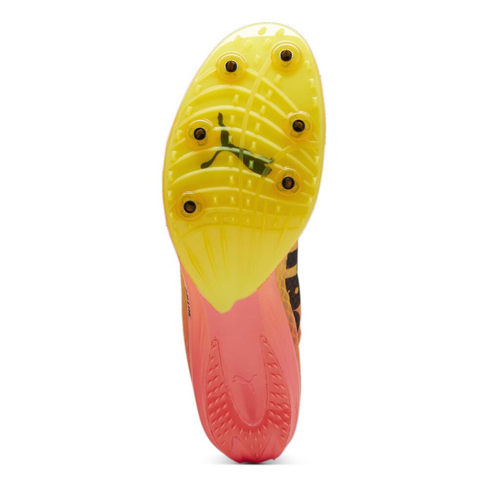 PUMA Evospeed Distance Nitro Elite+ 4 - Spikeschuh Laufschuh